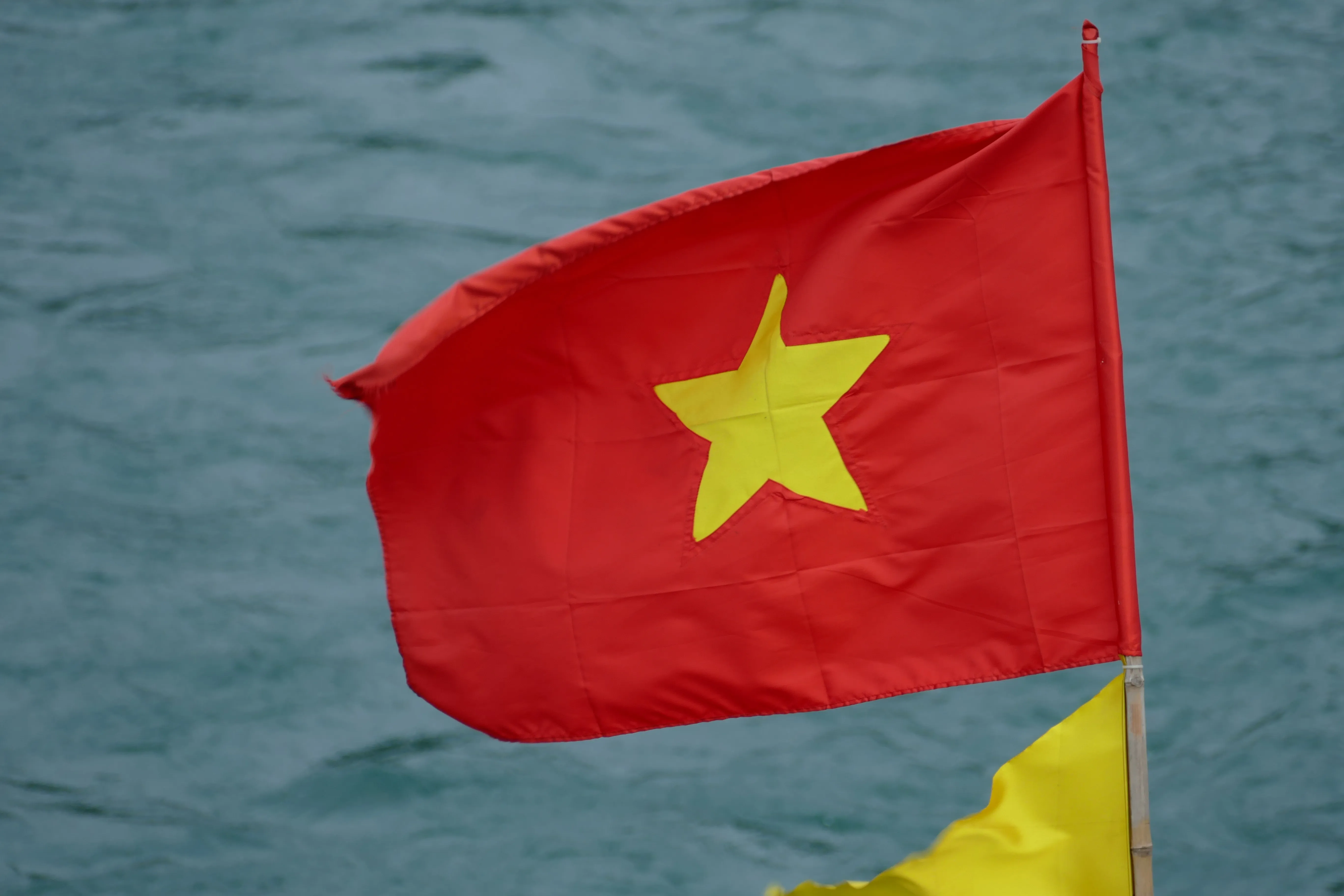 越南政府於今（20日）向國會提交刑法修正草案，提議再取消毒品走私、性侵未成年等6項罪名的死刑。（示意圖，pixabay）