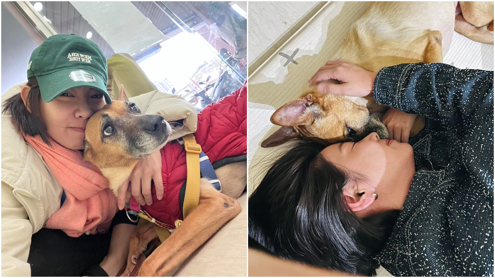 米可白的愛犬「錢錢」罹患胃癌，被醫生告知僅剩數個月壽命。（翻攝米可白臉書）