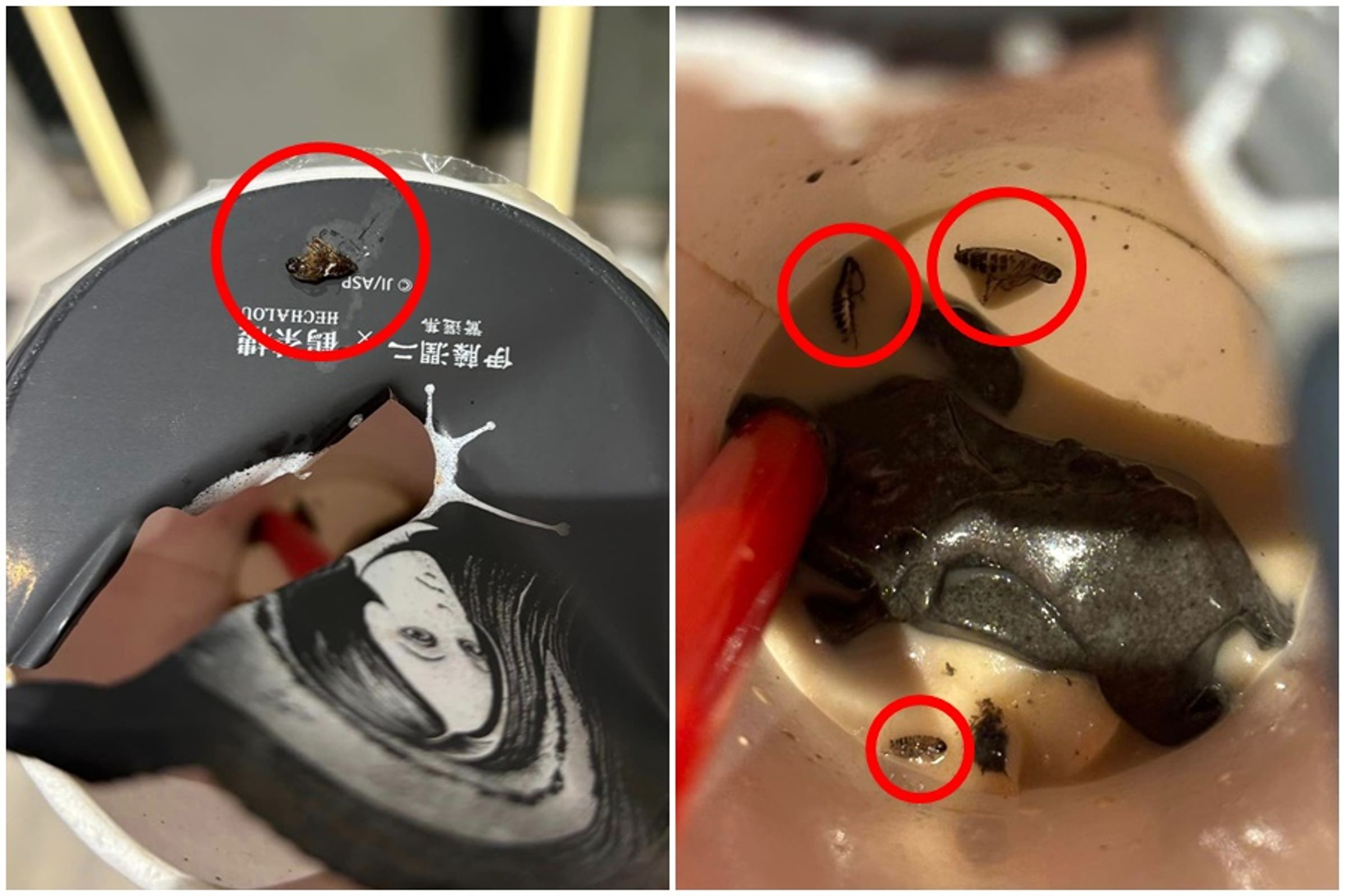 消費者在鶴茶樓飲料裡吃到爆漿蟑螂，撕開封膜發現杯底還有至少3隻小強。（翻攝自爆料公社）