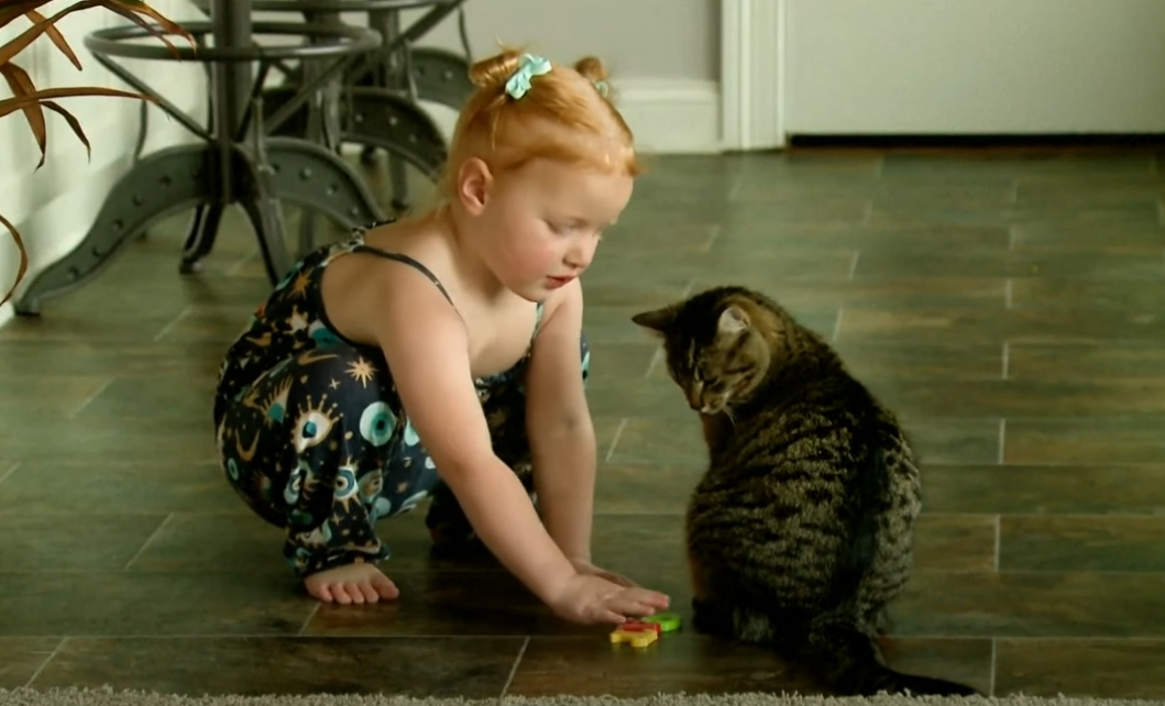 美國一名3歲女童展現過人智力，在2歲半時就加入門薩組織，破金氏世界紀錄。（翻攝自ShanghaiEye魔都眼 YouTube頻道）