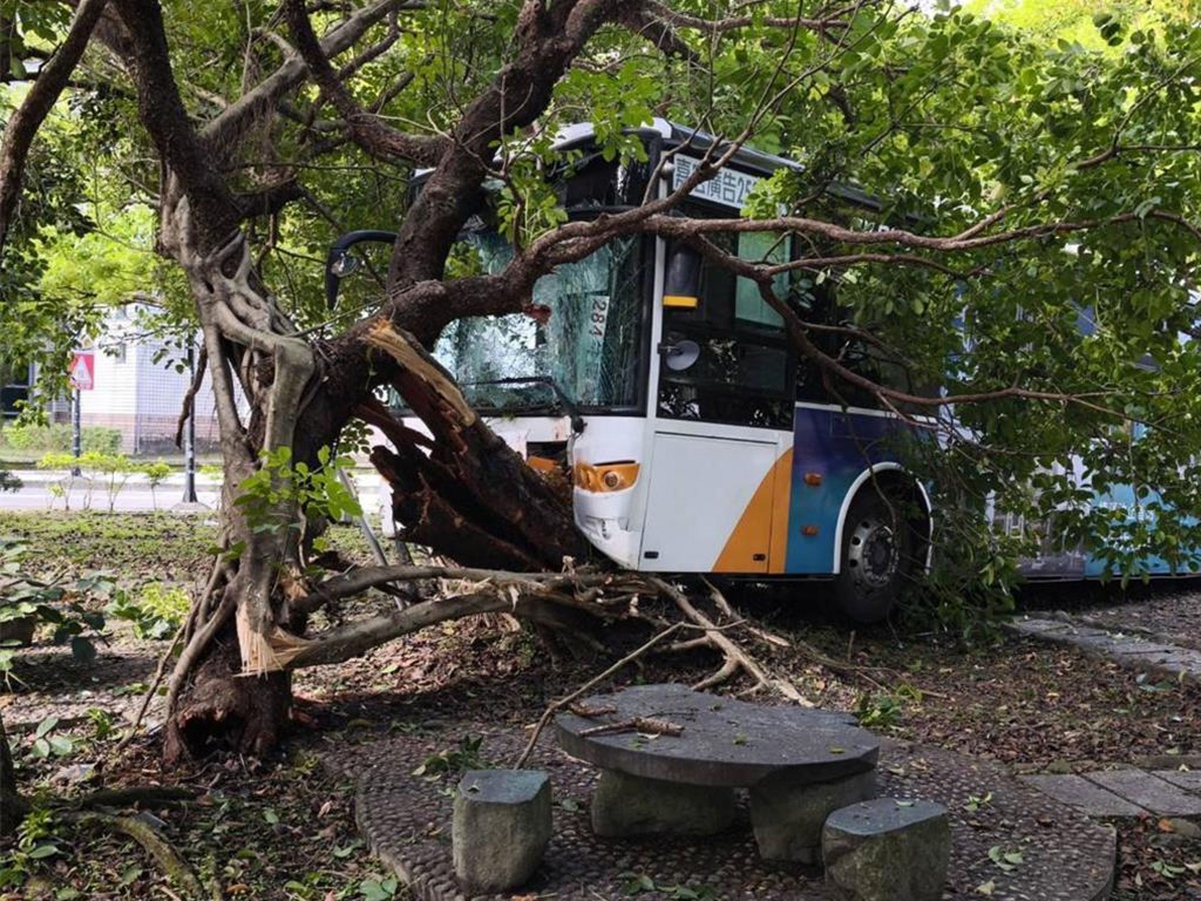 台北市內湖區今日上午發生公車撞上路樹的事故，造成10人受傷。（翻攝畫面）
