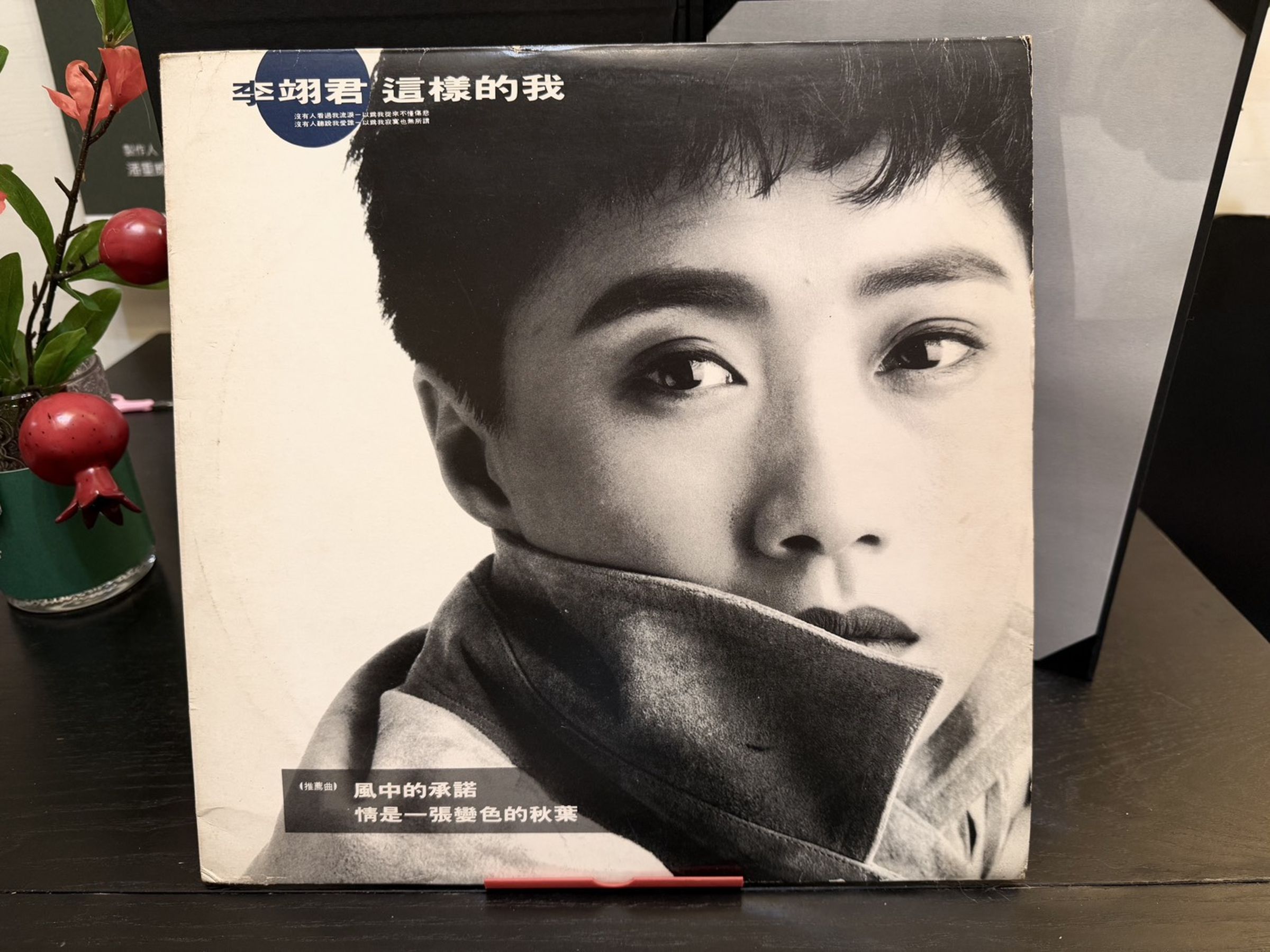 潘重威和林貴敏合作緣起於李翊君的專輯《這樣的我》。(創意大群組提供)