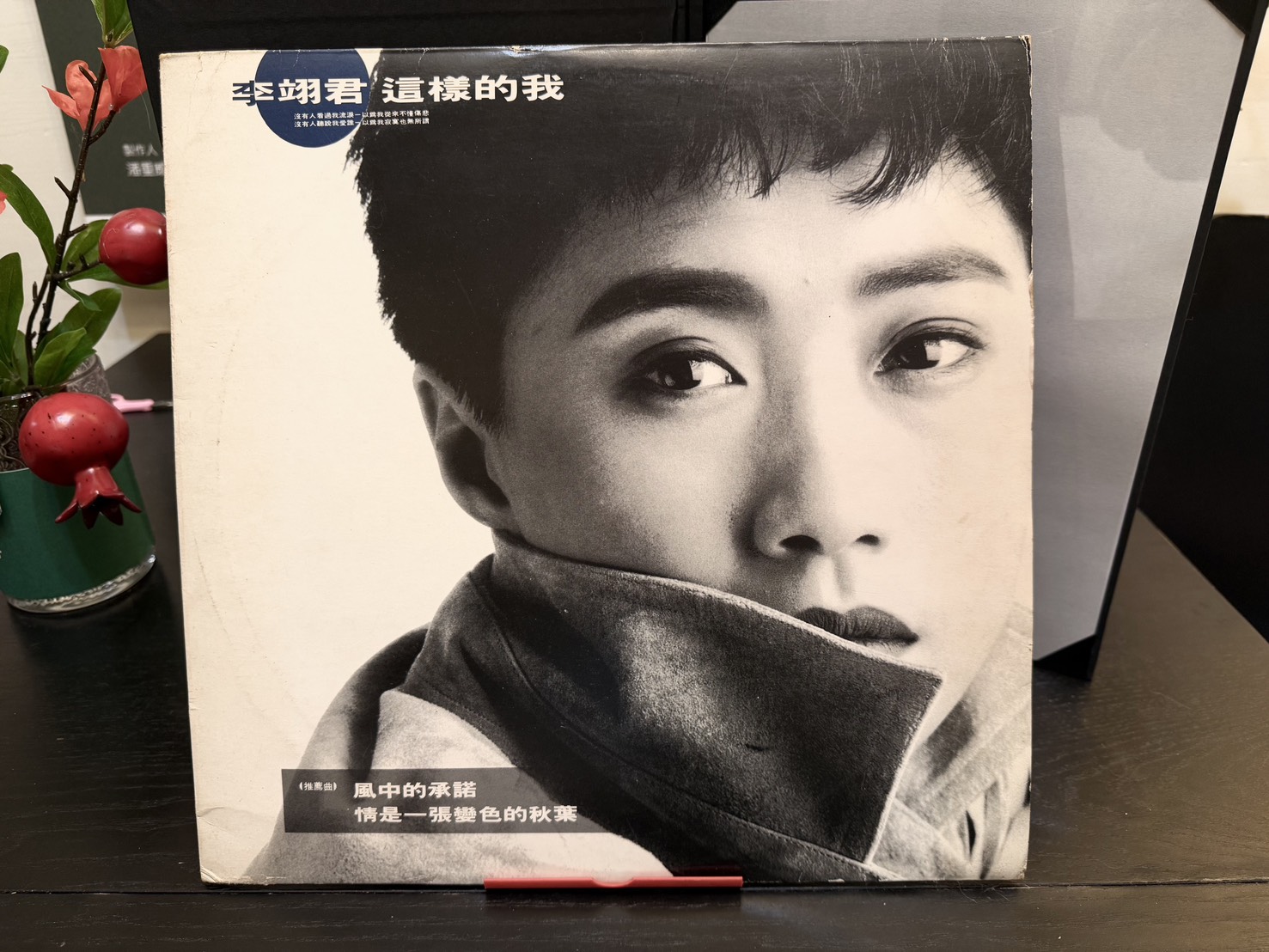 潘重威和林貴敏合作緣起於李翊君的專輯《這樣的我》。（創意大群組提供）