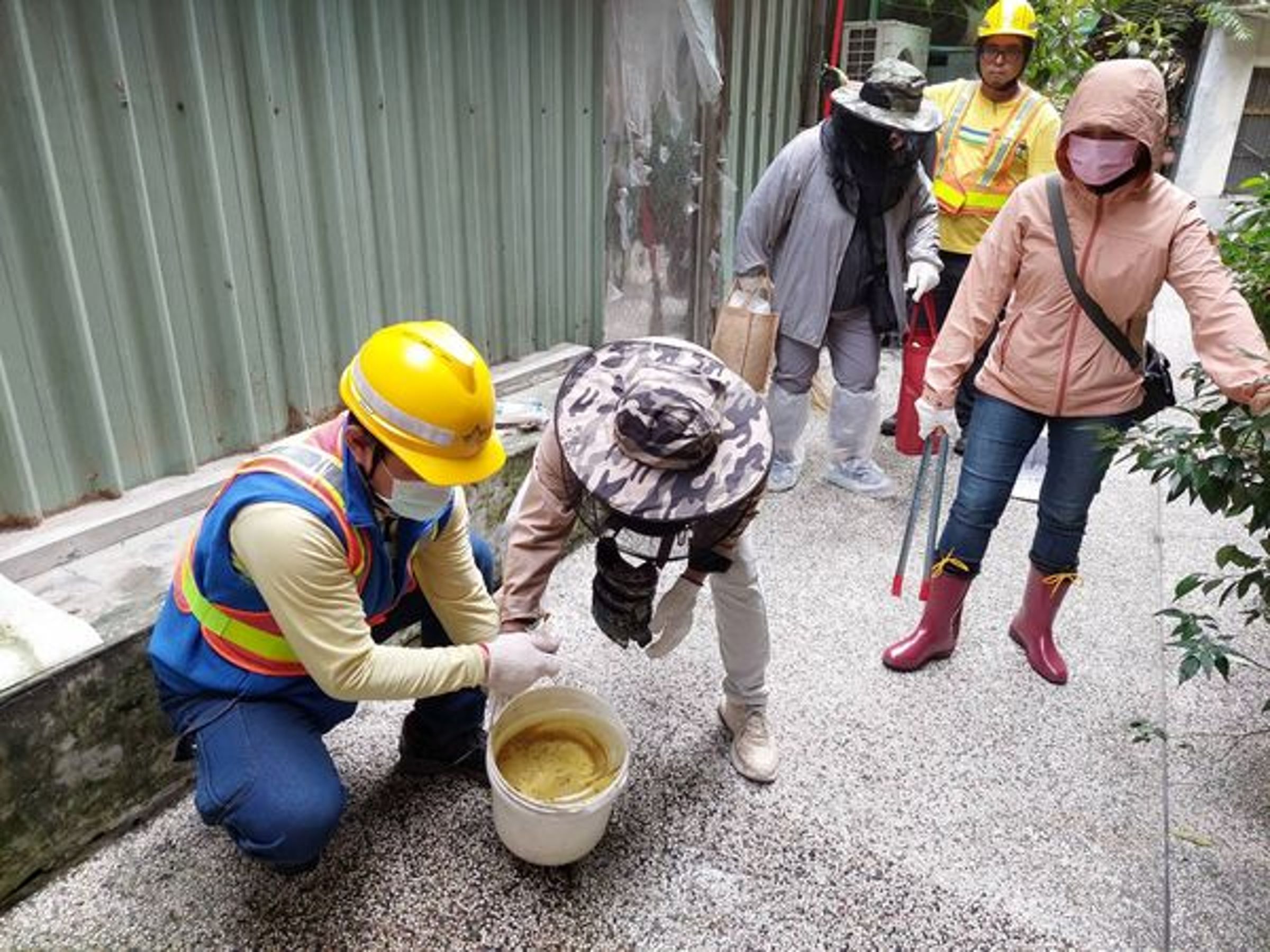 萬華區也首次爆出本土登革熱病例,其感染源不明。(北市衛生局提供)
