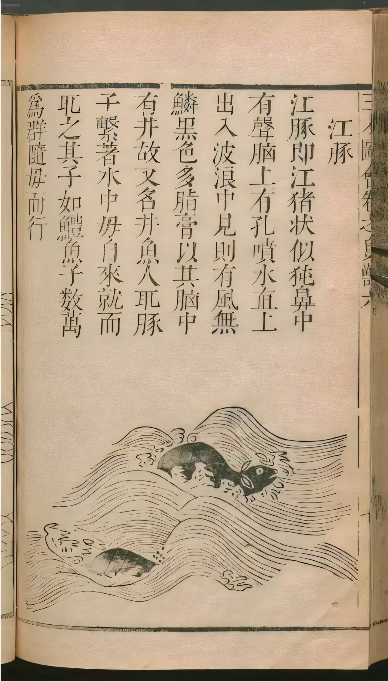 本研究透過詩人的觀察與書寫,補足了缺乏歷史數據的空白。(翻攝自《三才圖會》)