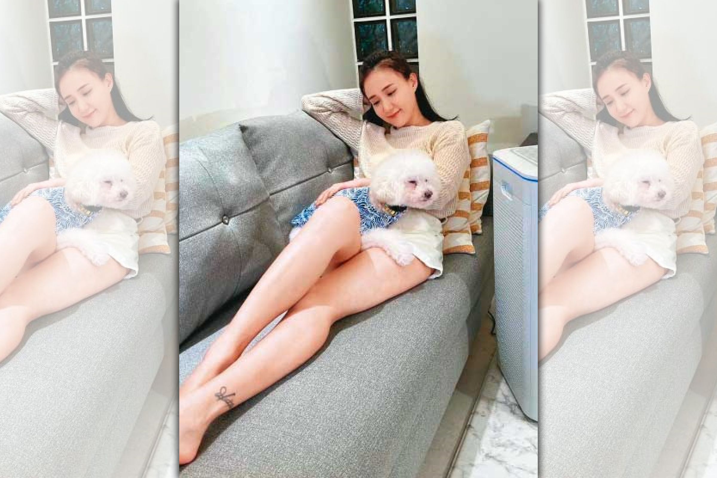 何妤玟的愛犬恰恰是隻貴賓，6個月大時被收養至今，經常在她的社群平台亮相。（翻攝何妤玟IG）