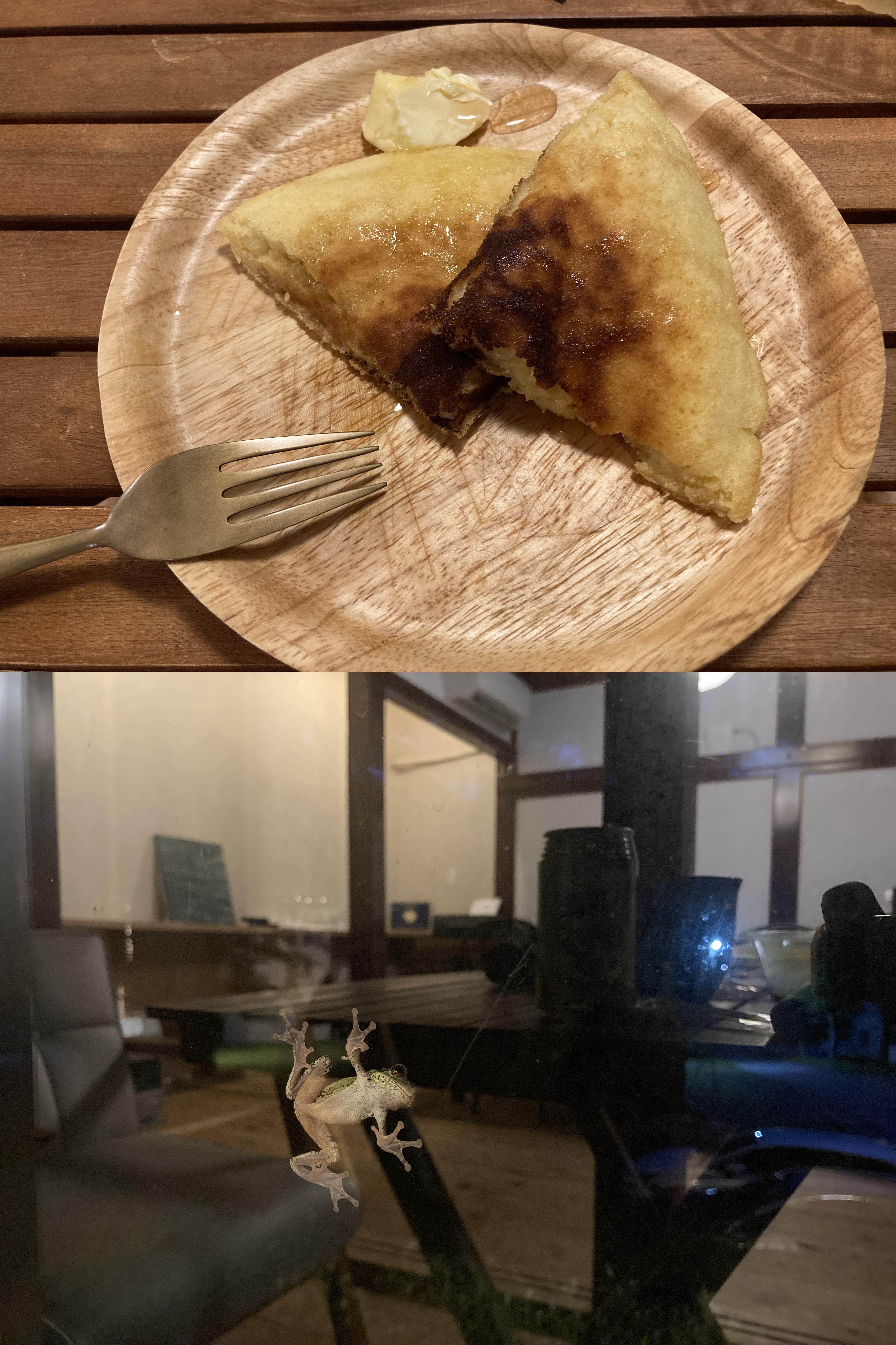 晚上回到住處，邊吃屋主做的鬆餅，邊看窗外青蛙吃蚊子，Discovery生動上演中。