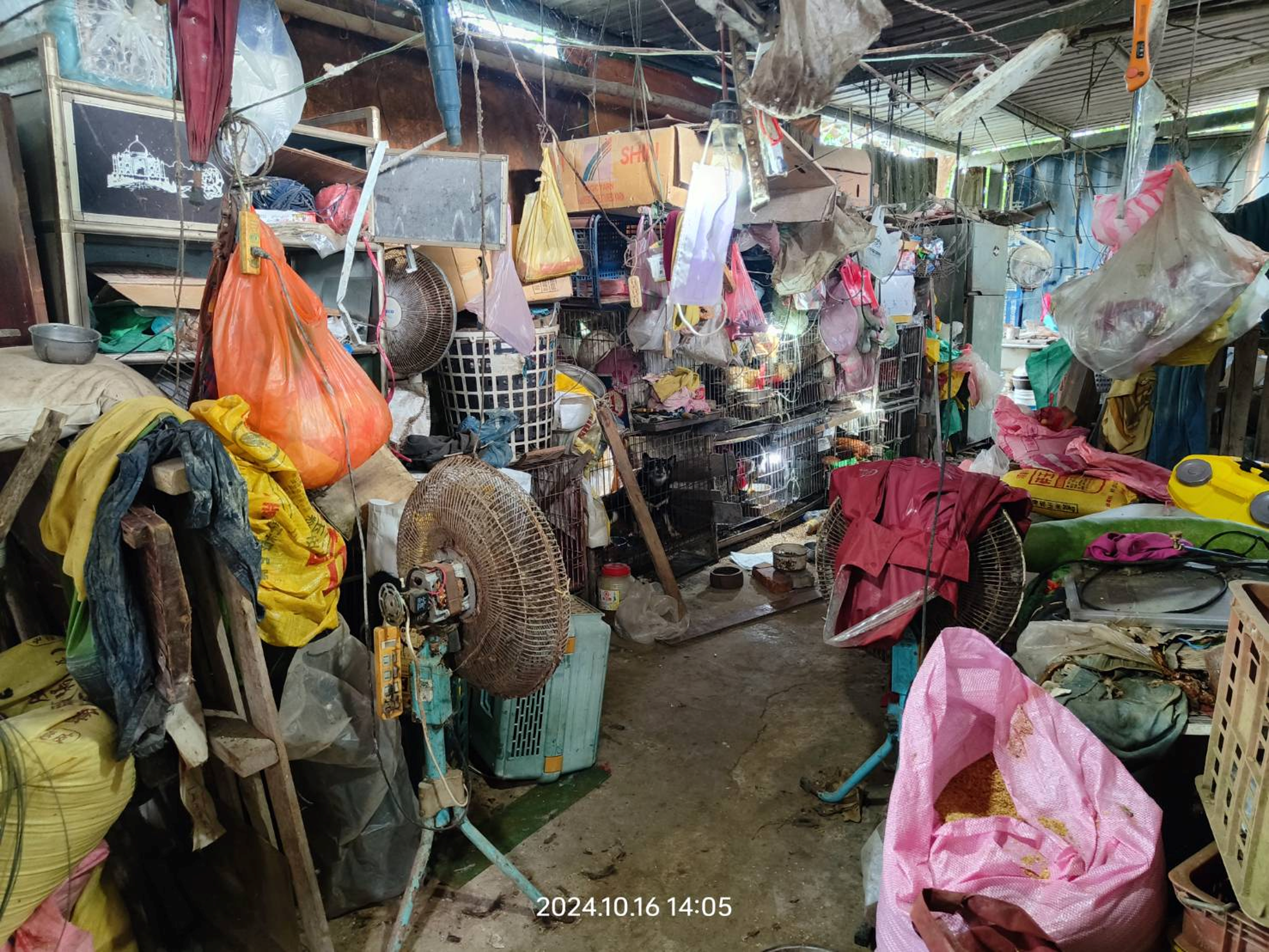 飼養場所環境髒亂，衛生條件極差。（新竹縣動保所提供）