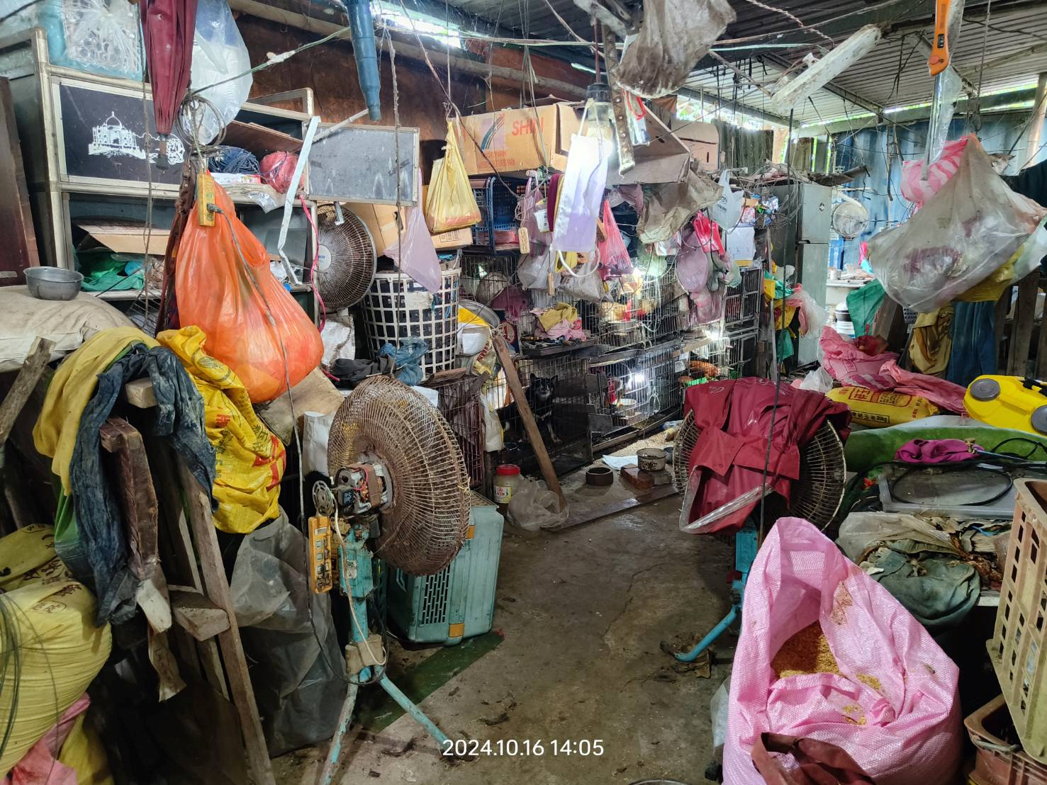 飼養場所環境髒亂，衛生條件極差。（新竹縣動保所提供）