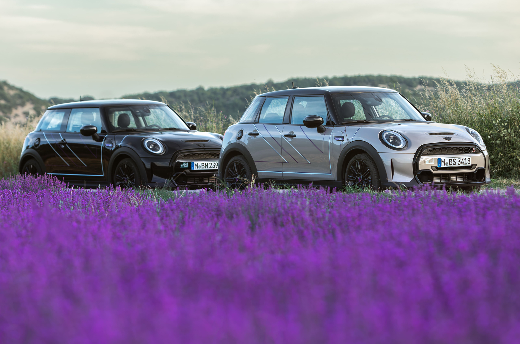 【新車登場】薰衣草之戀!MINI Mayfield Edition