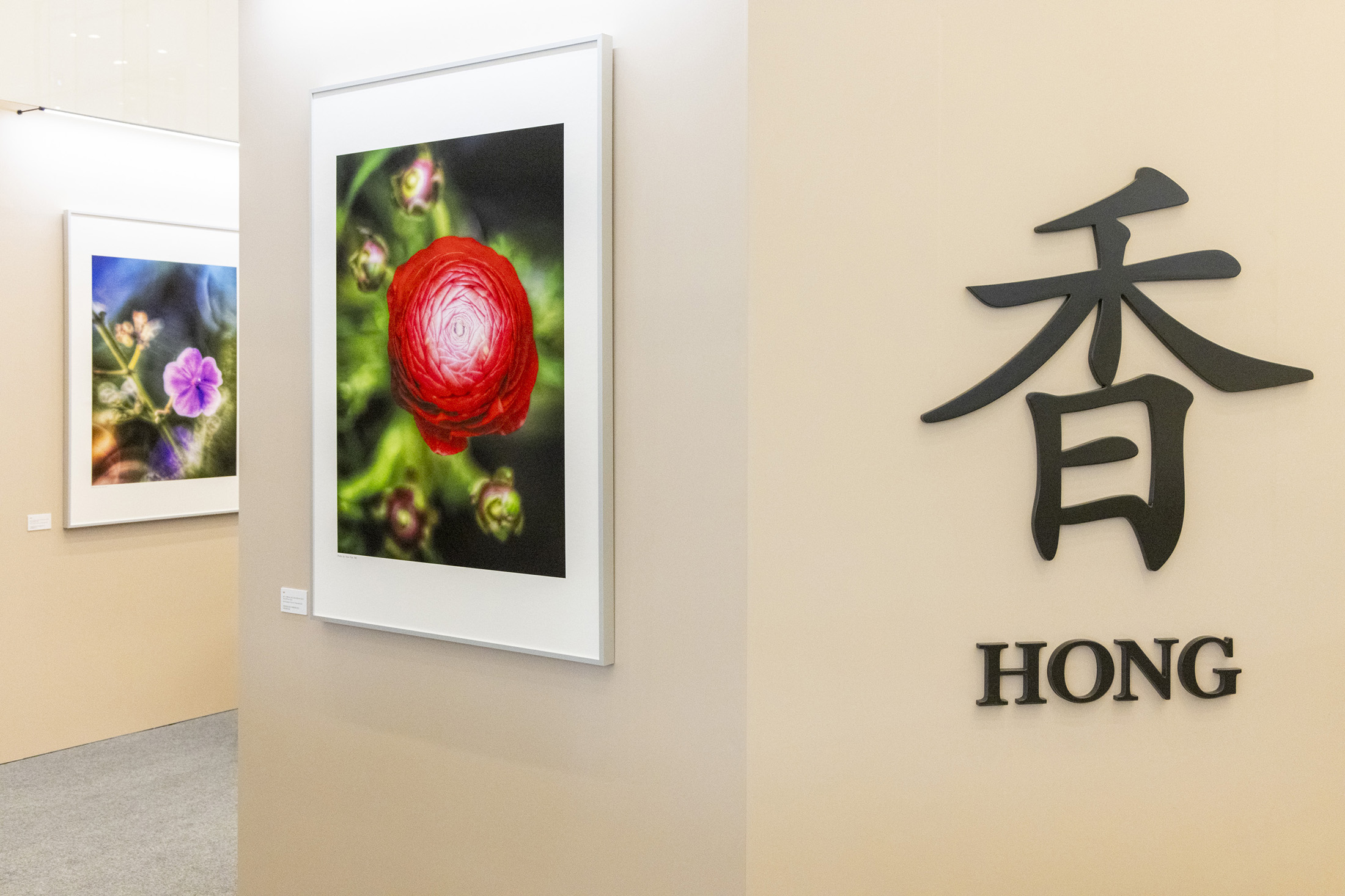 發哥透過攝影將花朵的嬌豔與脆弱展現得淋漓盡致。(海港城提供)