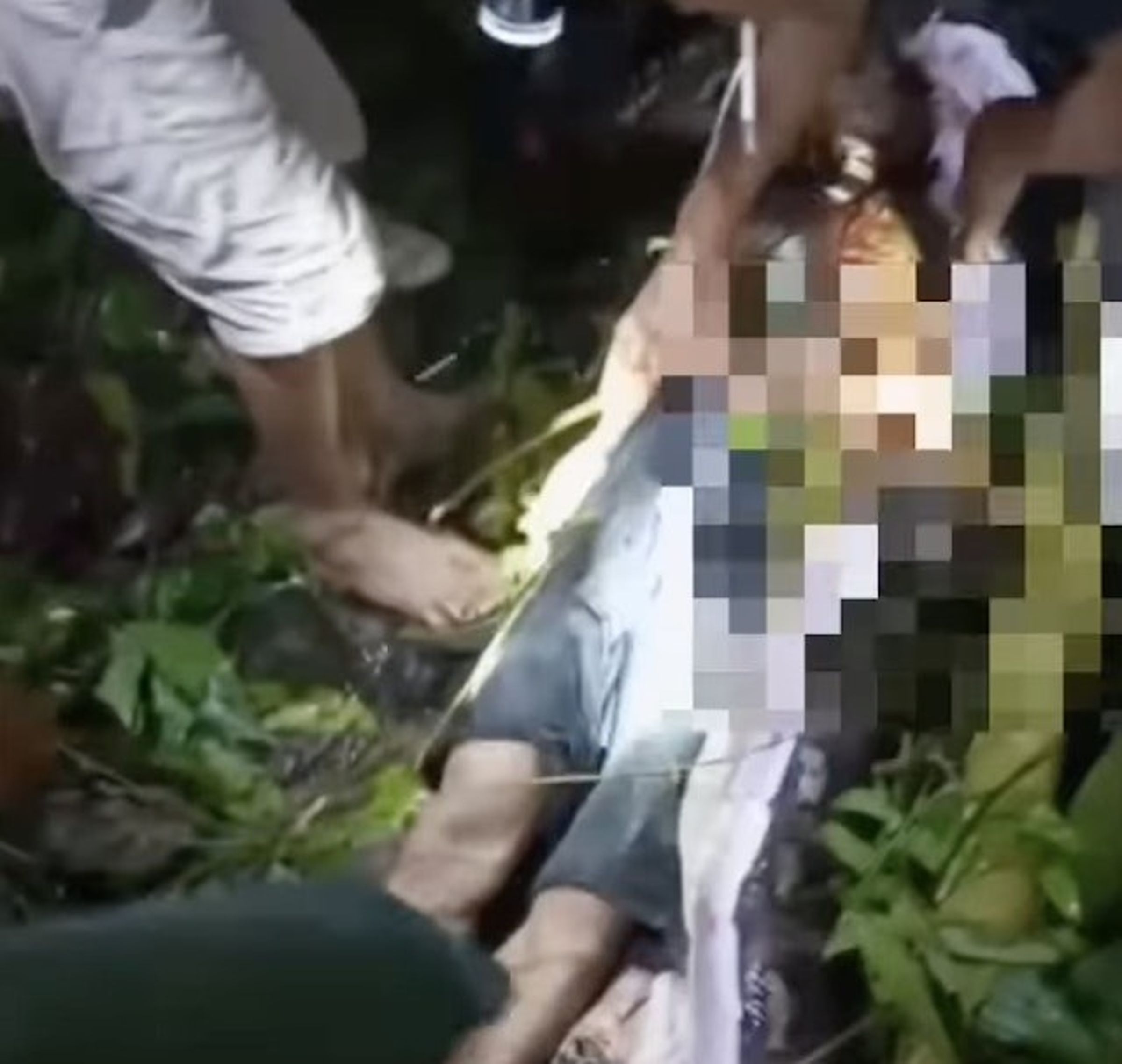 鄉民剖開蟒蛇腹部，發現佩柯遺體。（翻自IG）
