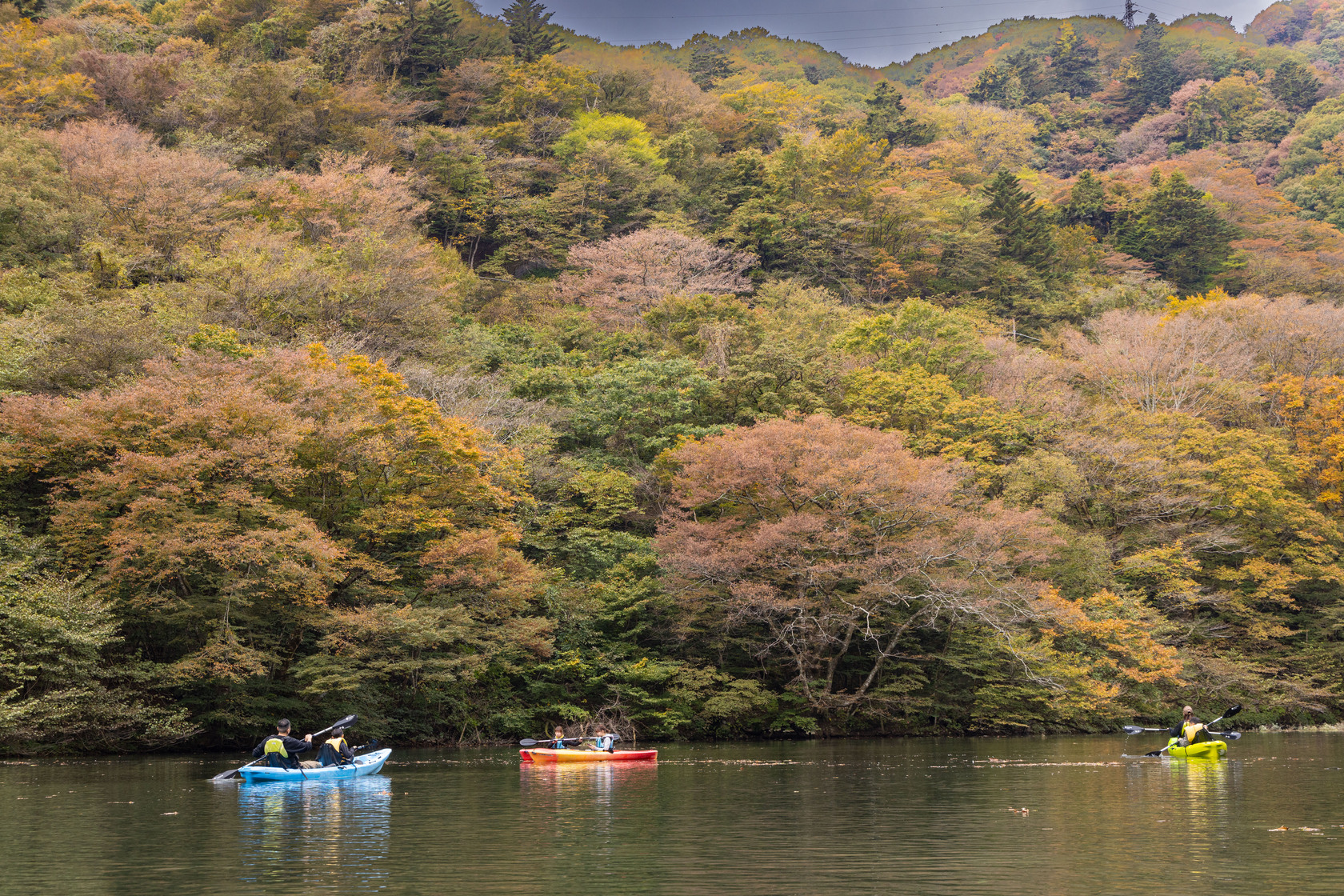 在板室水壩湖邊划獨木舟，欣賞今年見到的第一抹楓葉美景。