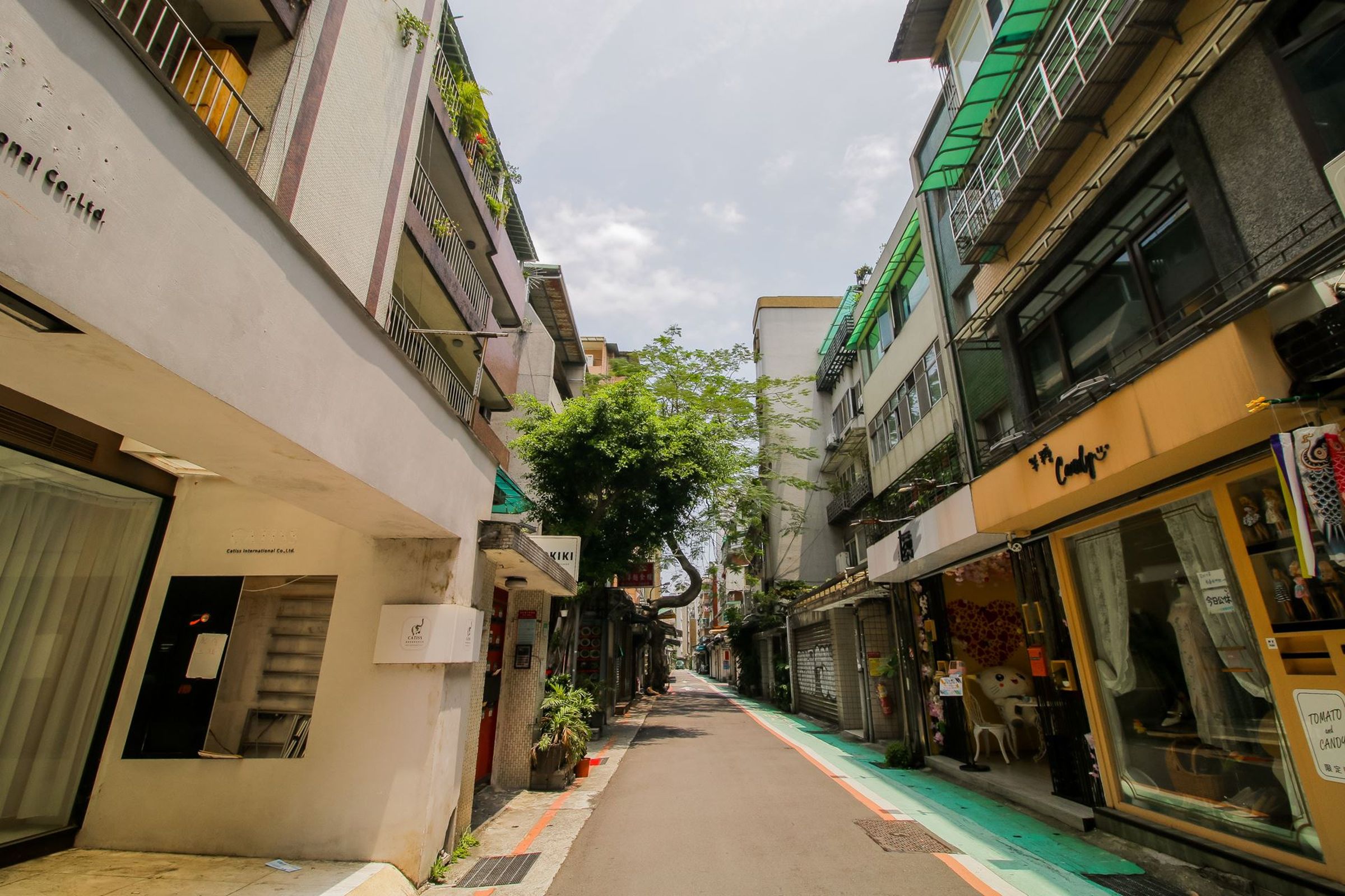 台北市中山區在五年間，中古屋交易量占全市比例雖有所下降，仍以12.6%的占比成北市最高。（永慶房產集團提供）