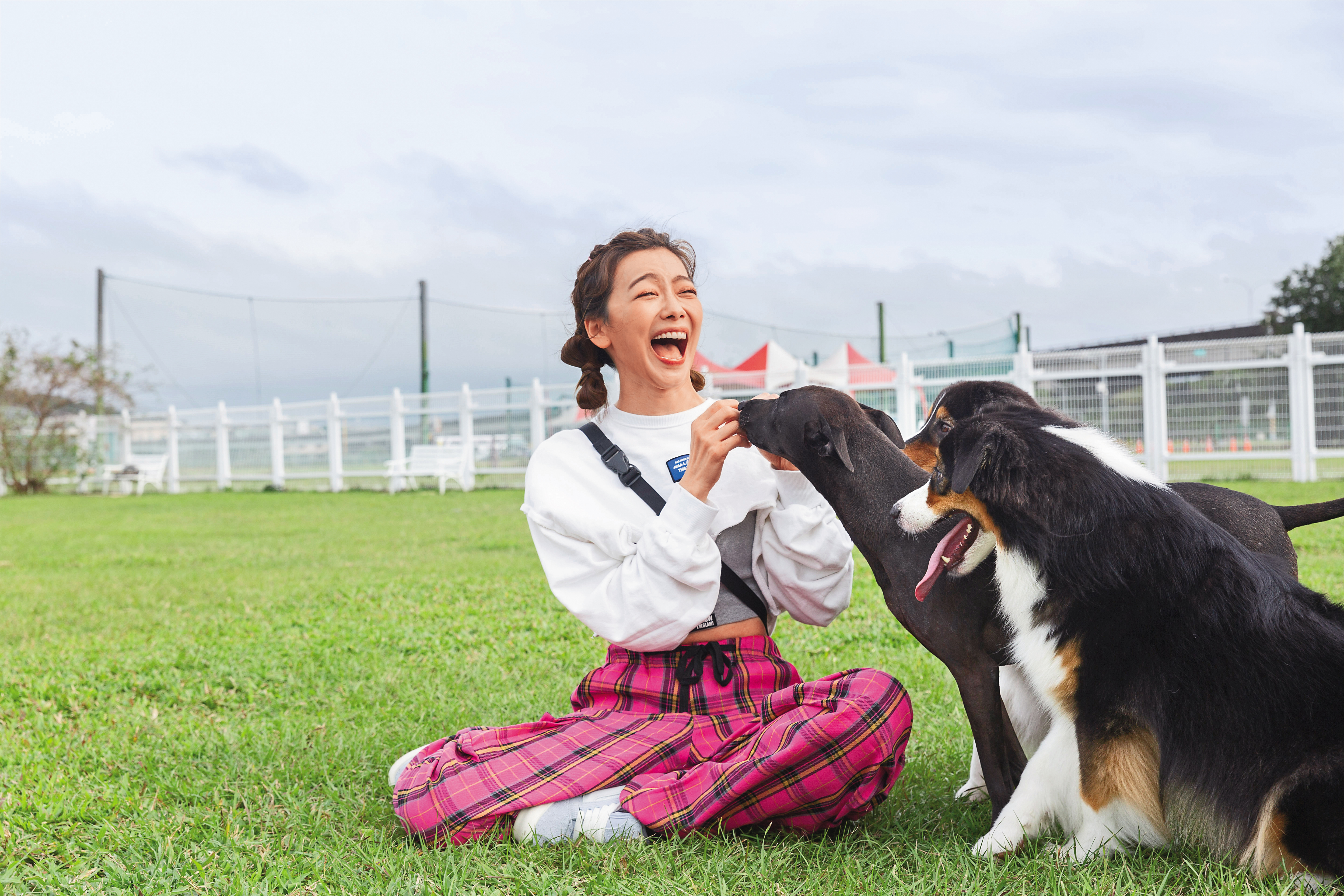 邵庭2020年帶回2隻澳洲牧羊犬大吉、大利，因大狗活力十足，每天光遛狗、陪玩就讓邵庭的生活很充實。