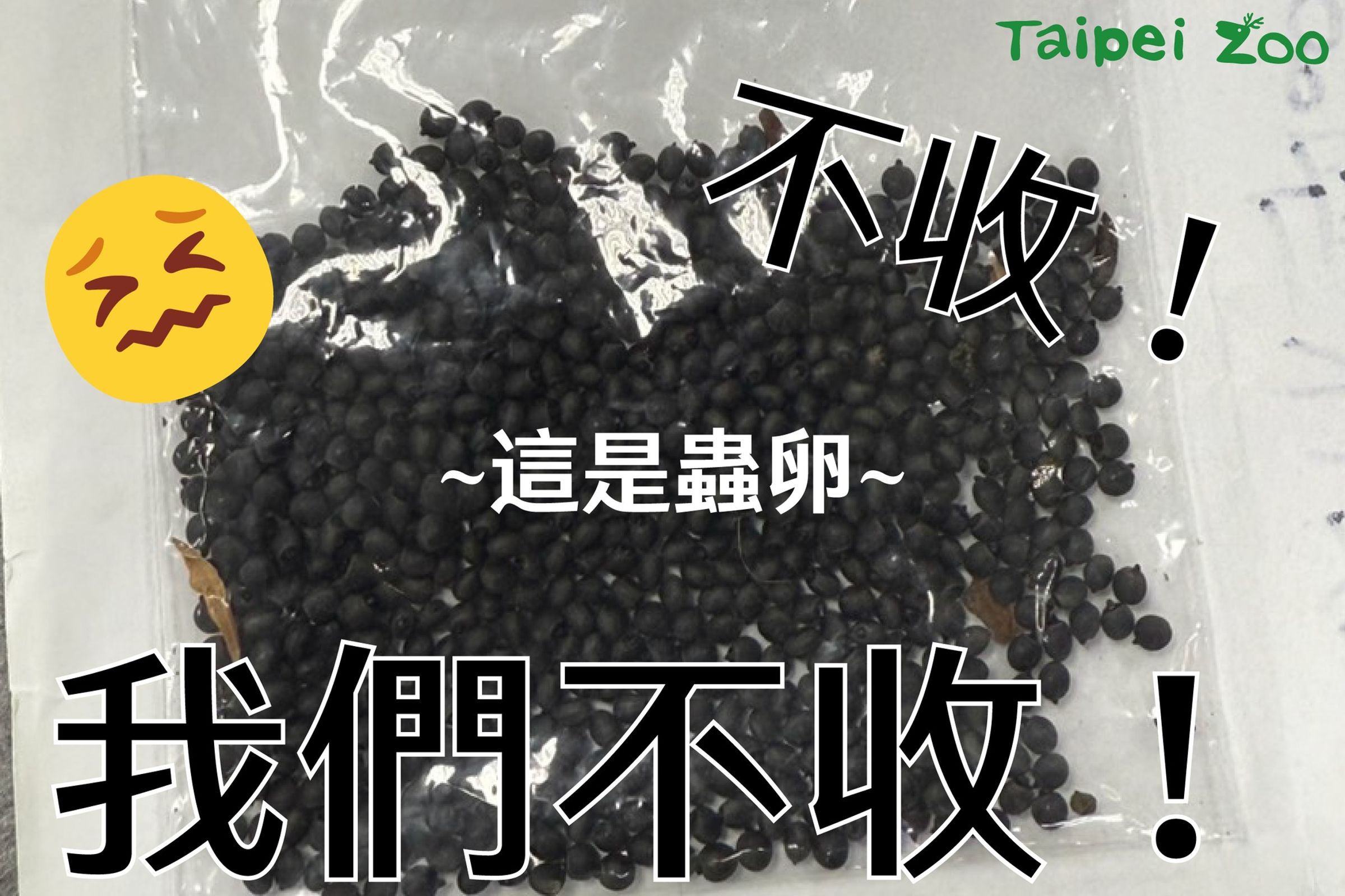 這封「神祕信件」竟是數量驚人的「竹節蟲卵」。（翻攝自北市動物園臉書）