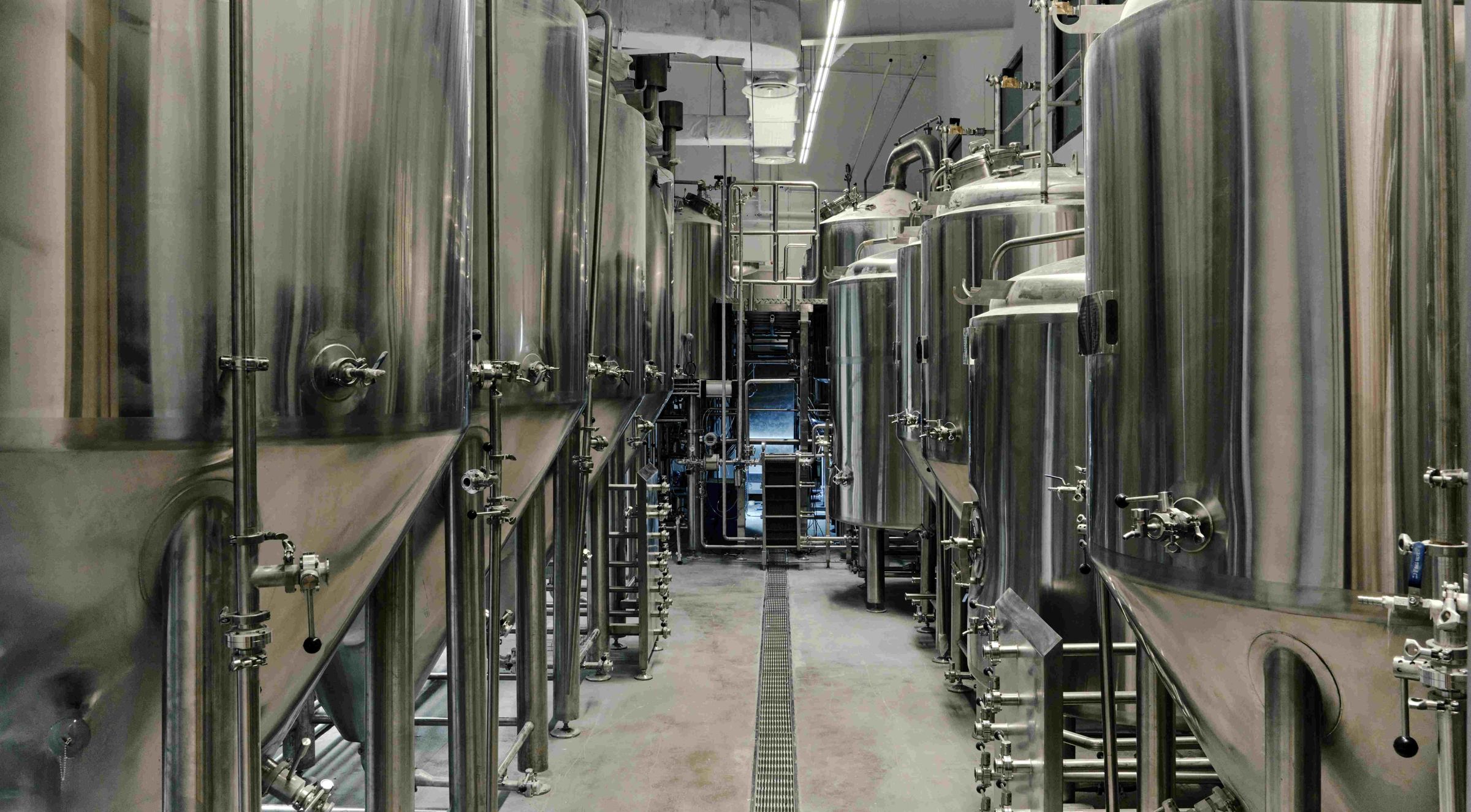 People People Brewing Co.是一座全流程自主運營的工作型酒廠。(Photo Credit:RYAN LOH)