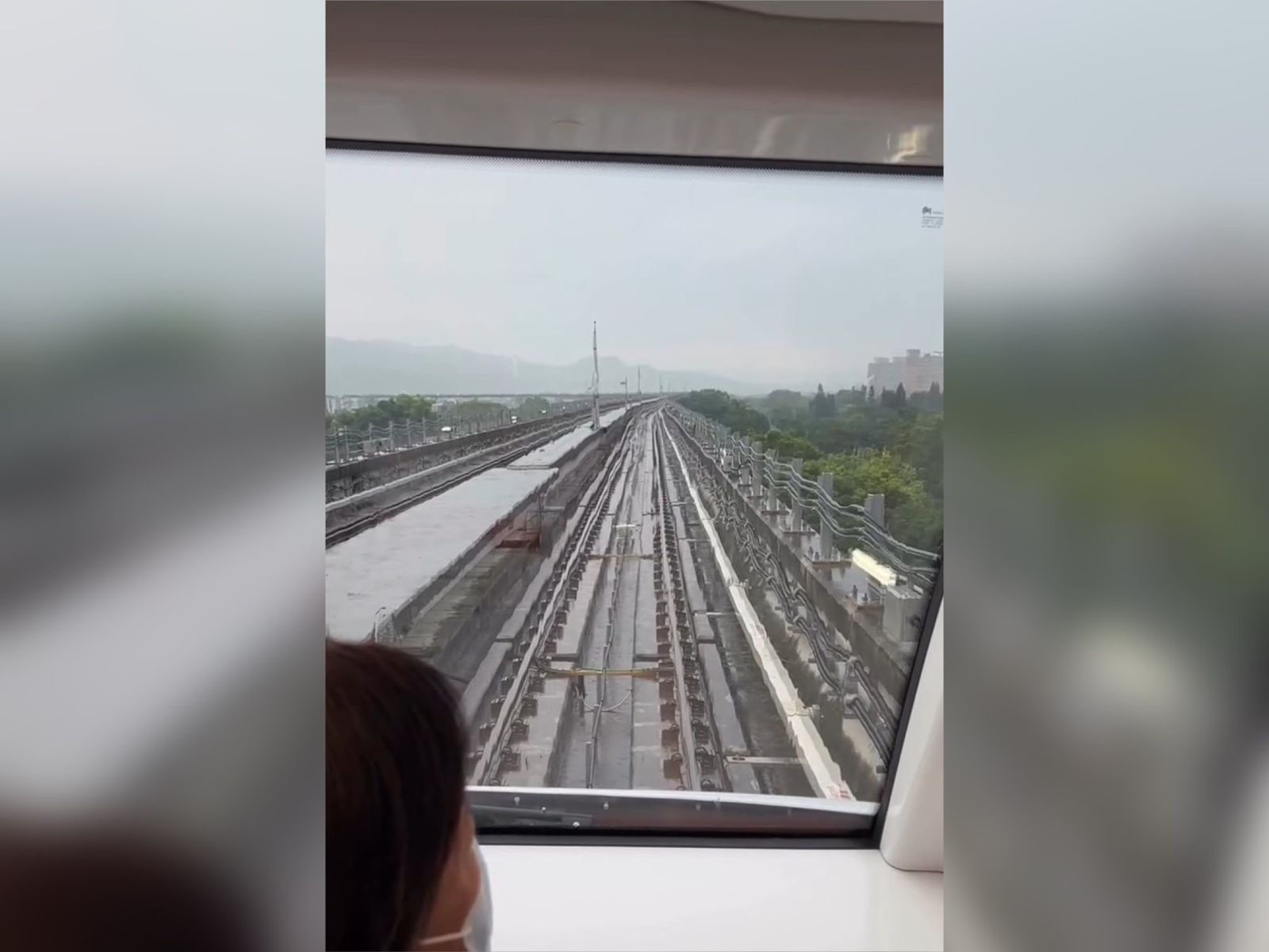 捷運三鶯線突停駛!打完雷後「乘客被請下車」 異常原因曝光