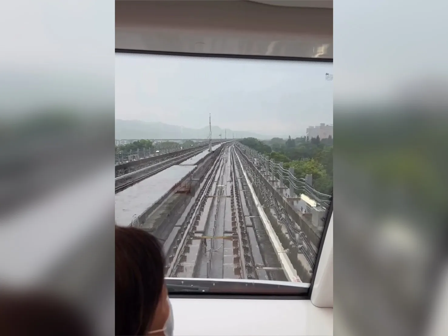 捷運三鶯線突停駛！打完雷後「乘客被請下車」　異常原因曝光