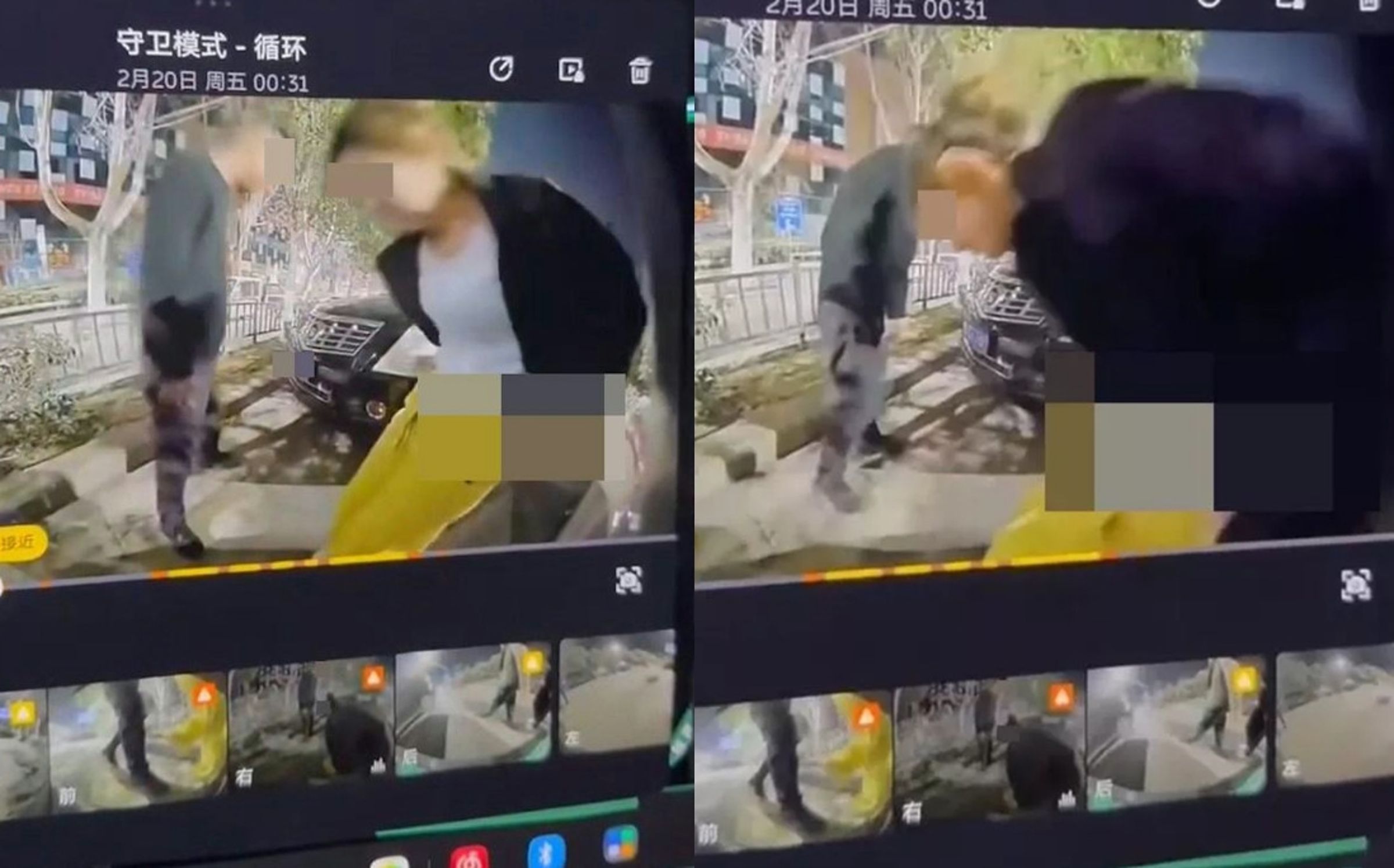 一名女子大剌剌蹲在路邊車旁隨地便溺,畫面都被行車紀錄器拍下。(翻攝影片)