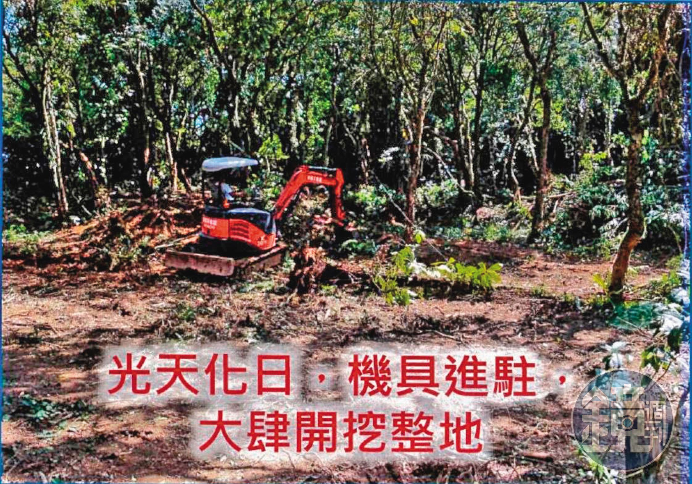 利益集團雇用大型機具進入山區濫墾濫伐,營造有人耕作的假象。(讀者提供)