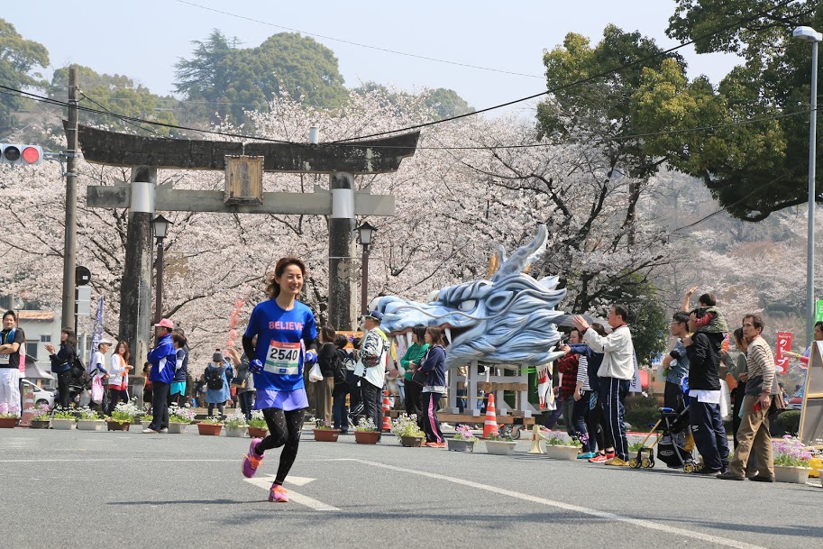 全日本最浪漫馬拉松「菊池櫻花馬拉松」，跑者能在一片粉紅花雪中起跑。（睿玟管理顧問有限公司提供）