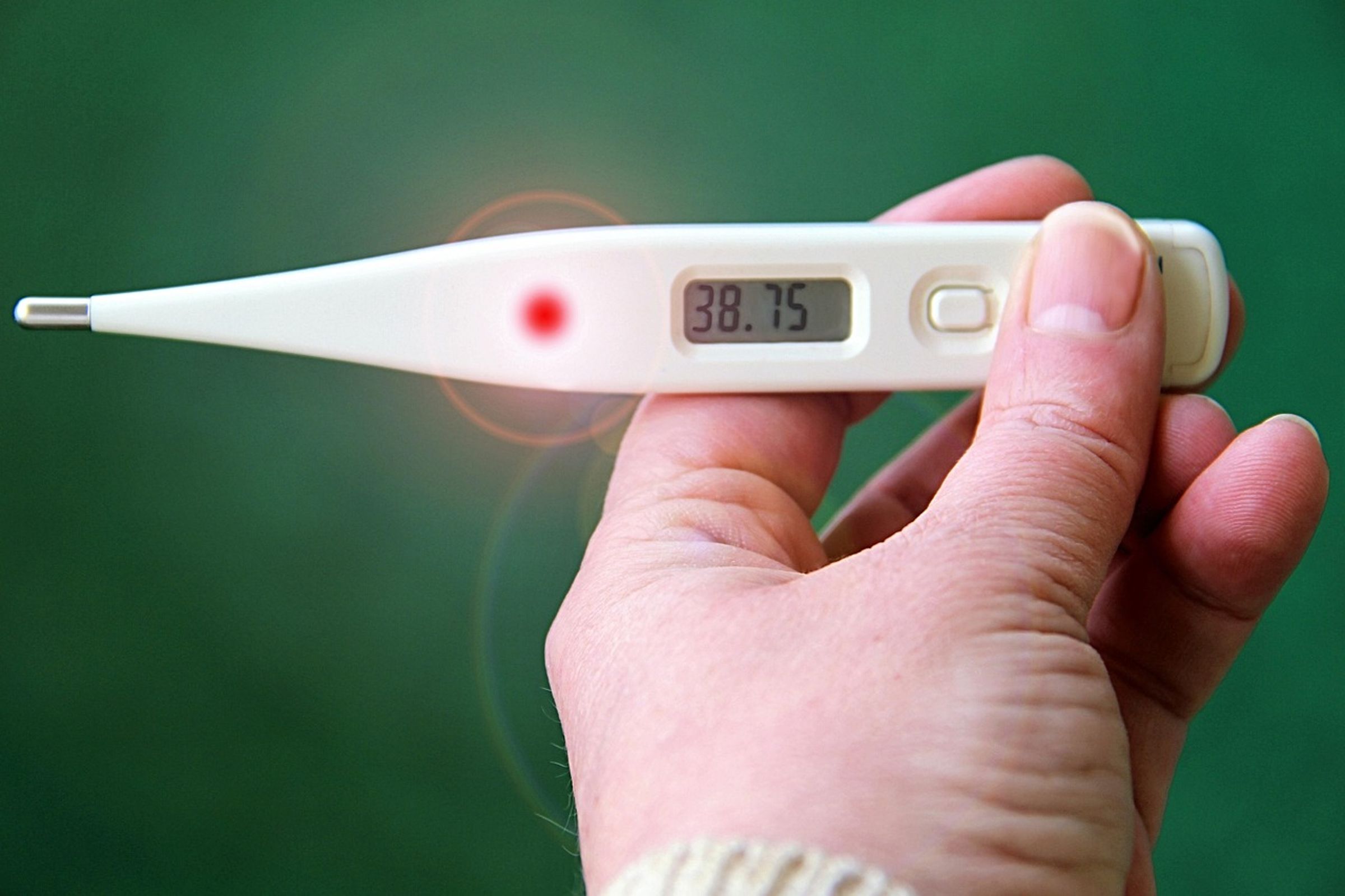 台灣近期有多種病毒同時活耀,包含人類間質肺炎病毒、流感、類流感、新冠病毒及腸病毒等。(Pixabay/Image by Gundula Vogel)