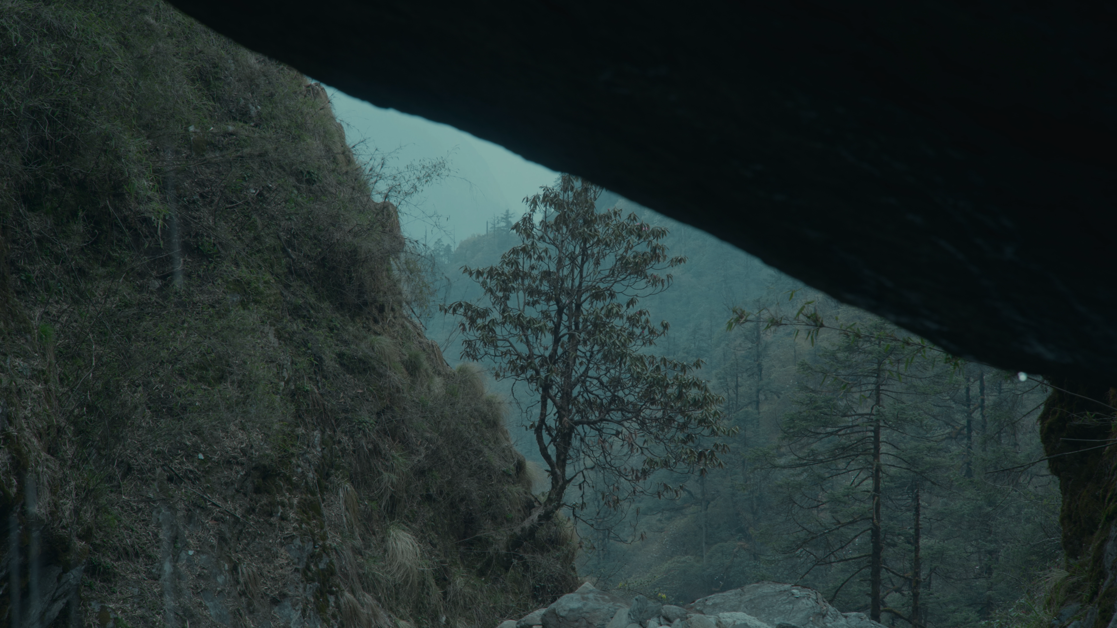 紀錄片《雪水消融的季節》講述關於失去與面對失去的故事。（希望影視提供）