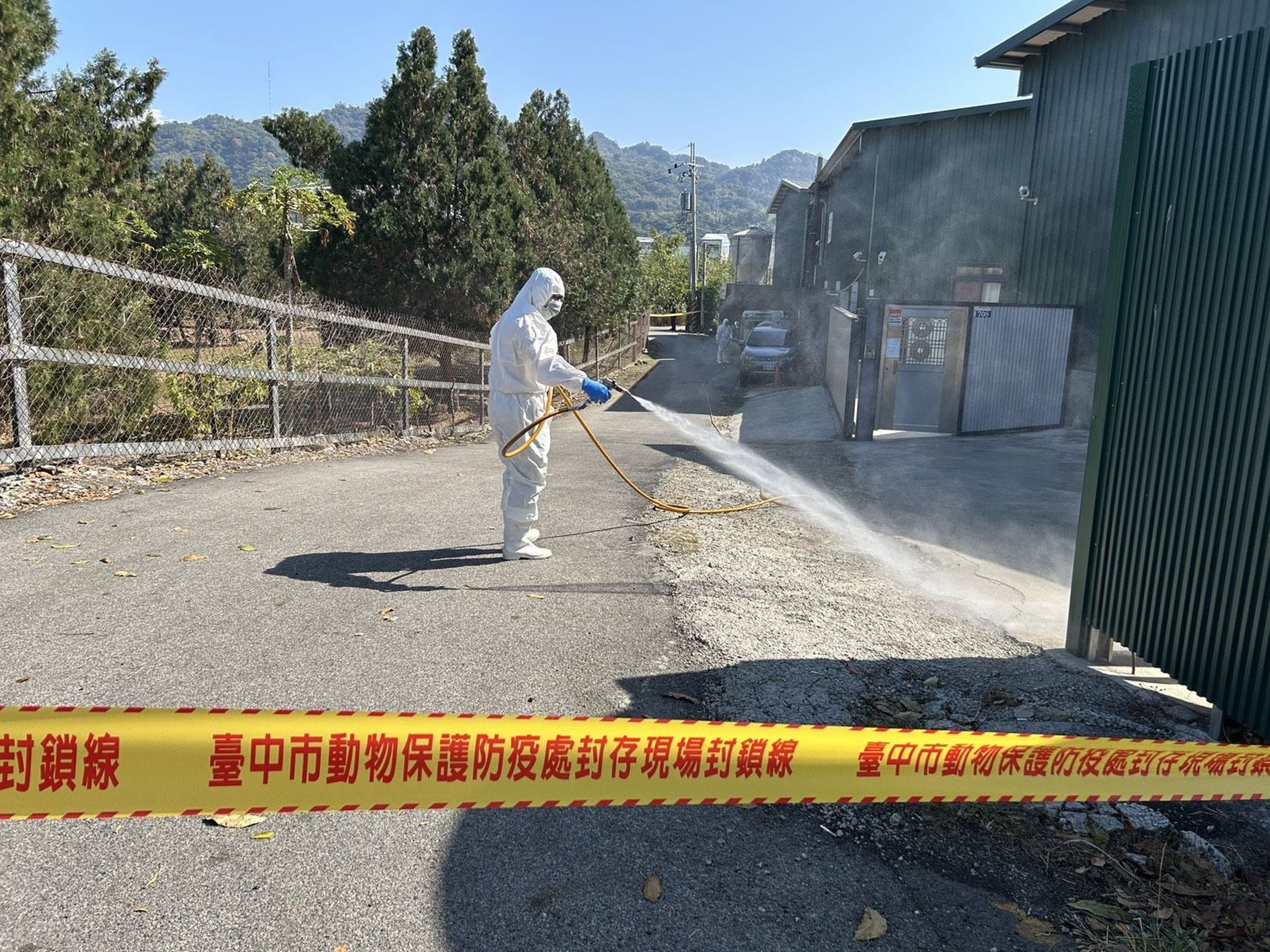台中爆發養雞場禽流感，市府已派員前往清消並完成雞隻撲殺。（台中市政府提供）