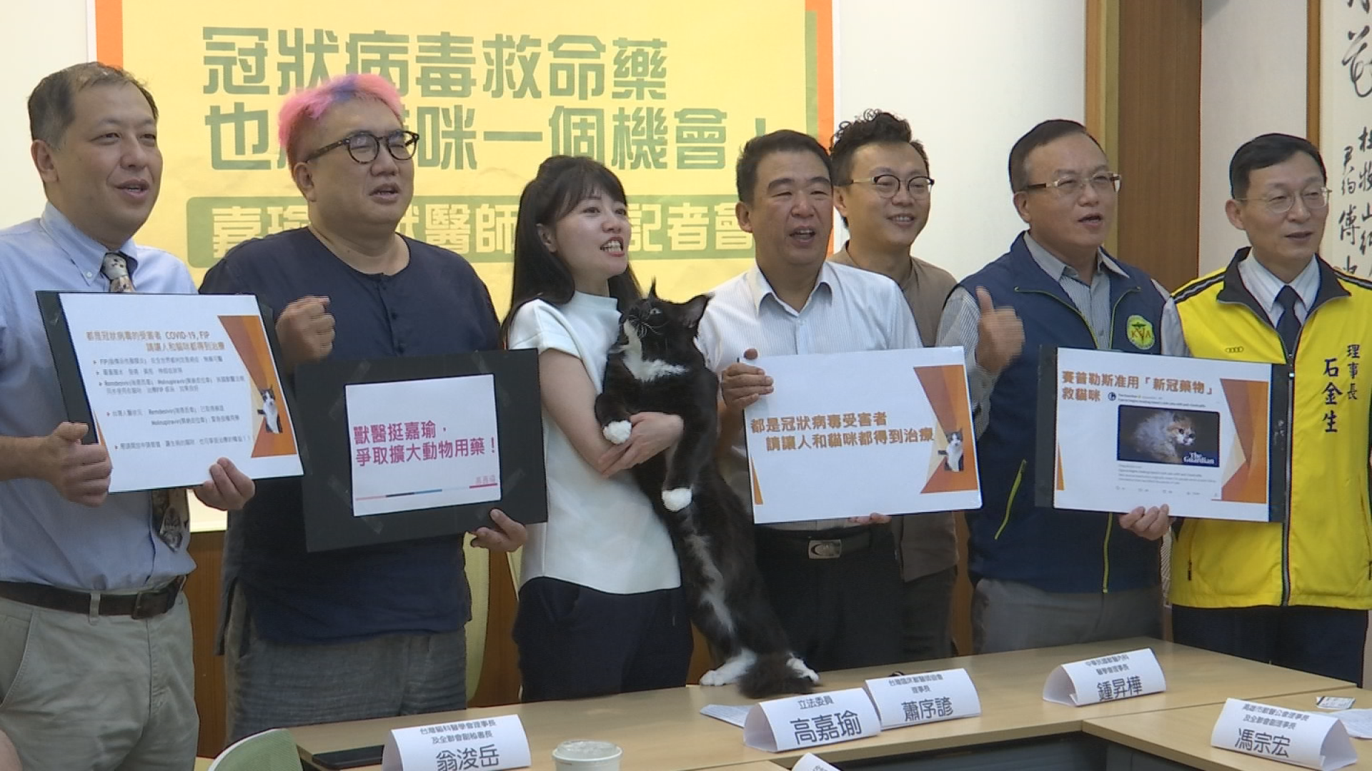 民進黨立委高嘉瑜在立法院舉行記者會為毛小孩請命，不過因為抱貓的姿勢不正確，引發熱議。（讀者提供）