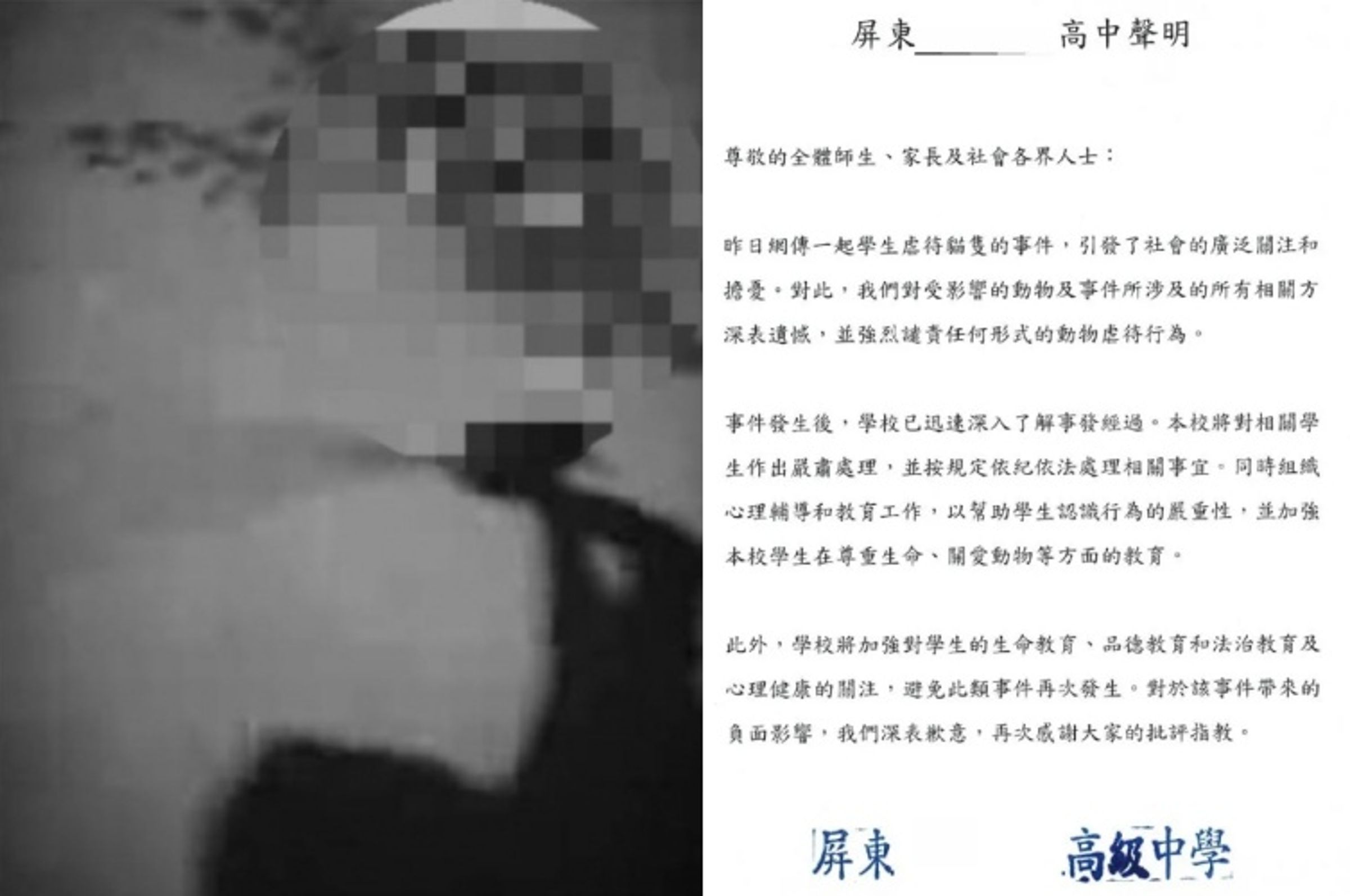 屏東某學校學生殘忍虐貓事件引發各界公憤，校方緊急發表聲明。（翻攝畫面）