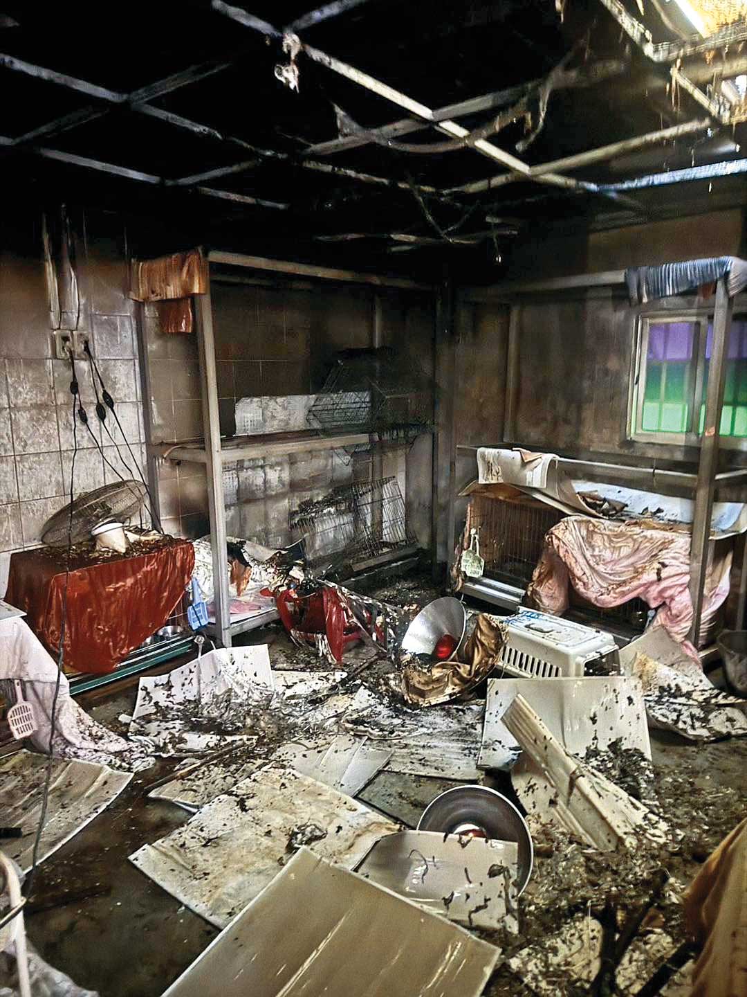 新店動物之家日前發生火災，遭議員戴瑋姍踢爆根本是違建等諸多問題。 （翻攝戴瑋姍臉書）
