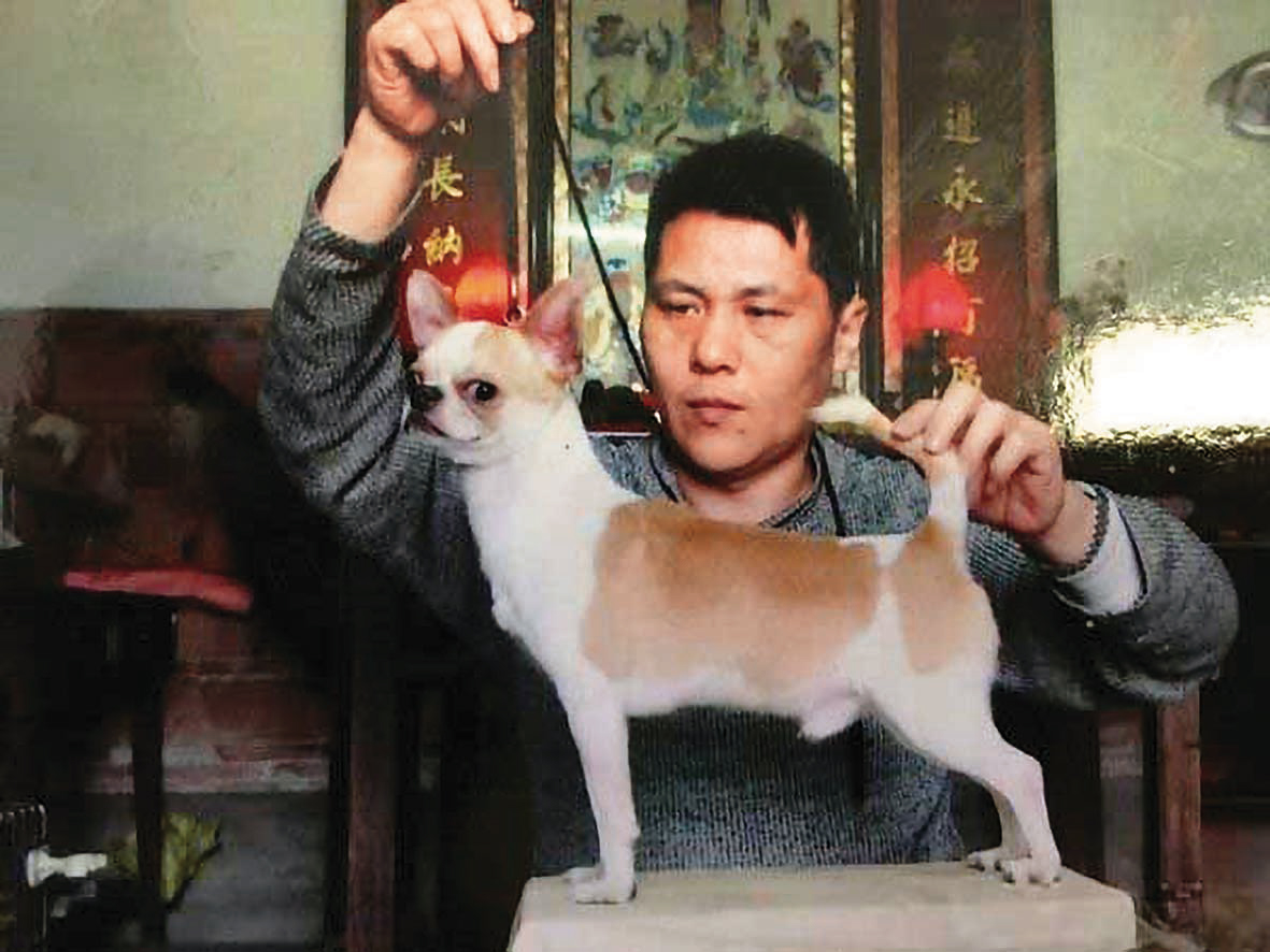 翁仁賢曾說，他養的吉娃娃狗死了，他會難過，但家人死了不會。（翻攝畫面）