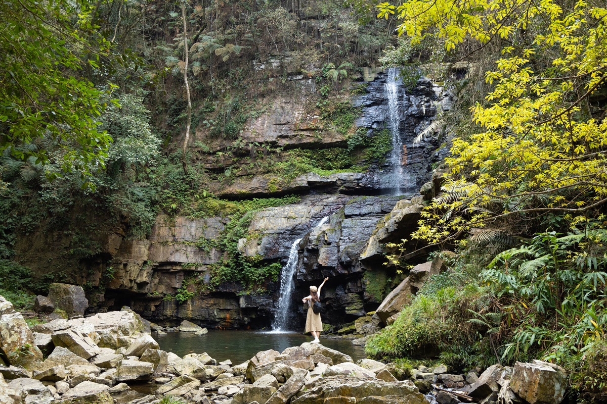 「澀水森林步道」需穿越250公尺的下切路徑方能抵達瀑布祕境。