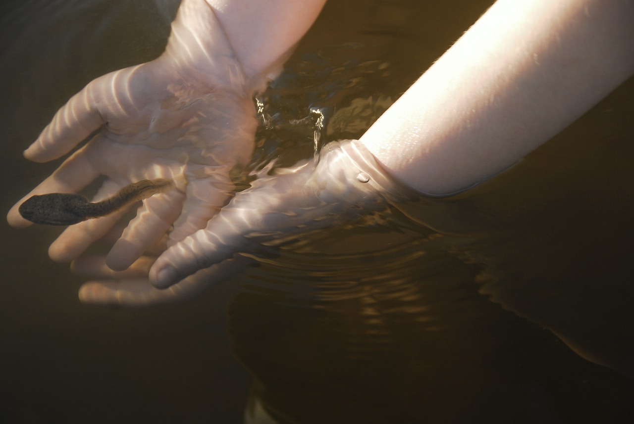 美國一名男孩在池塘玩耍，卻意外發現逃亡20年通緝犯的遺骸。（示意圖，pixabay）