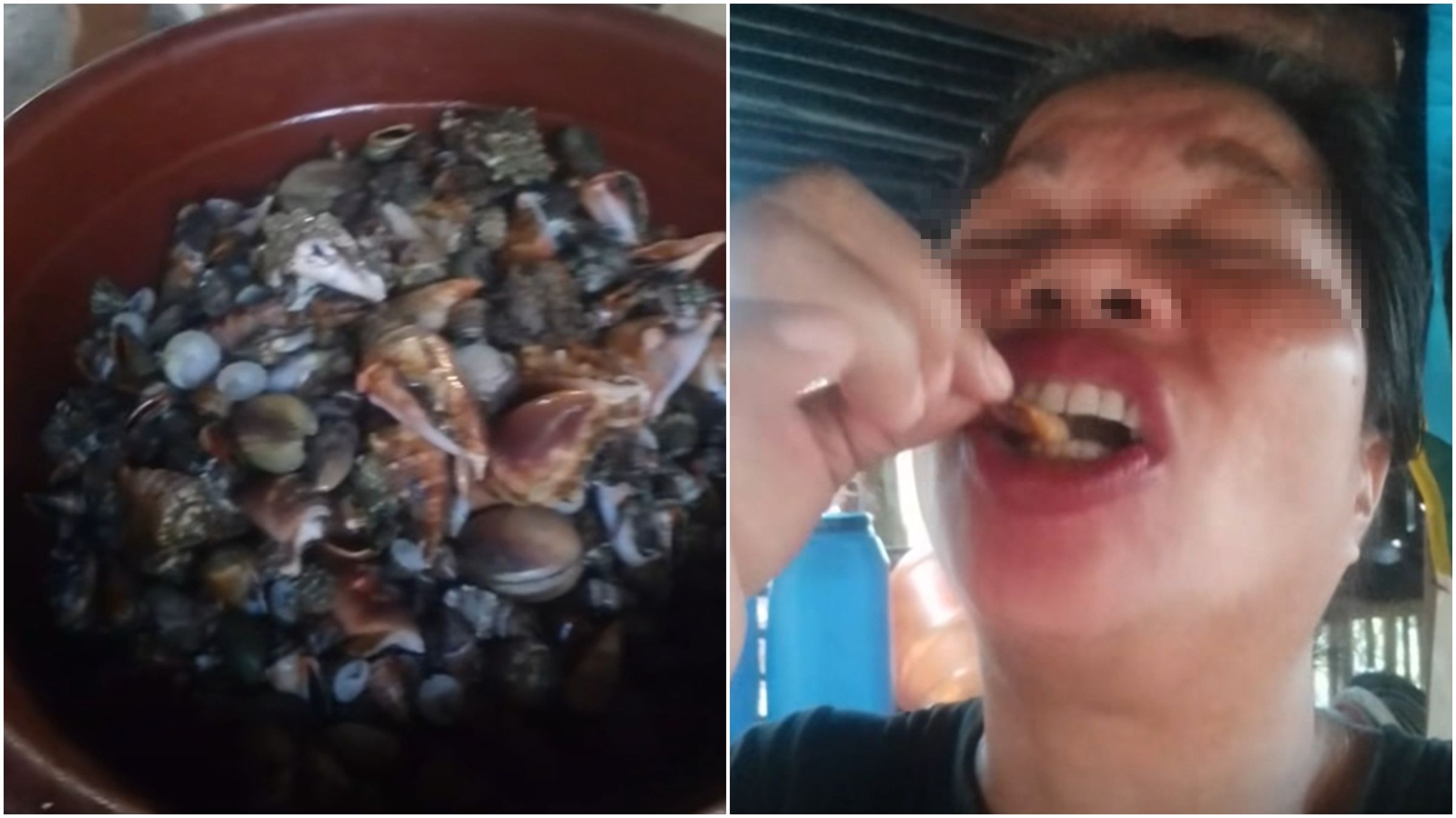 艾蜜特日前到紅樹林採集貝類與螃蟹，孰料卻誤食含有劇毒的「魔鬼蟹」，2天後不幸過世。（翻攝自臉書@Emma Amit）