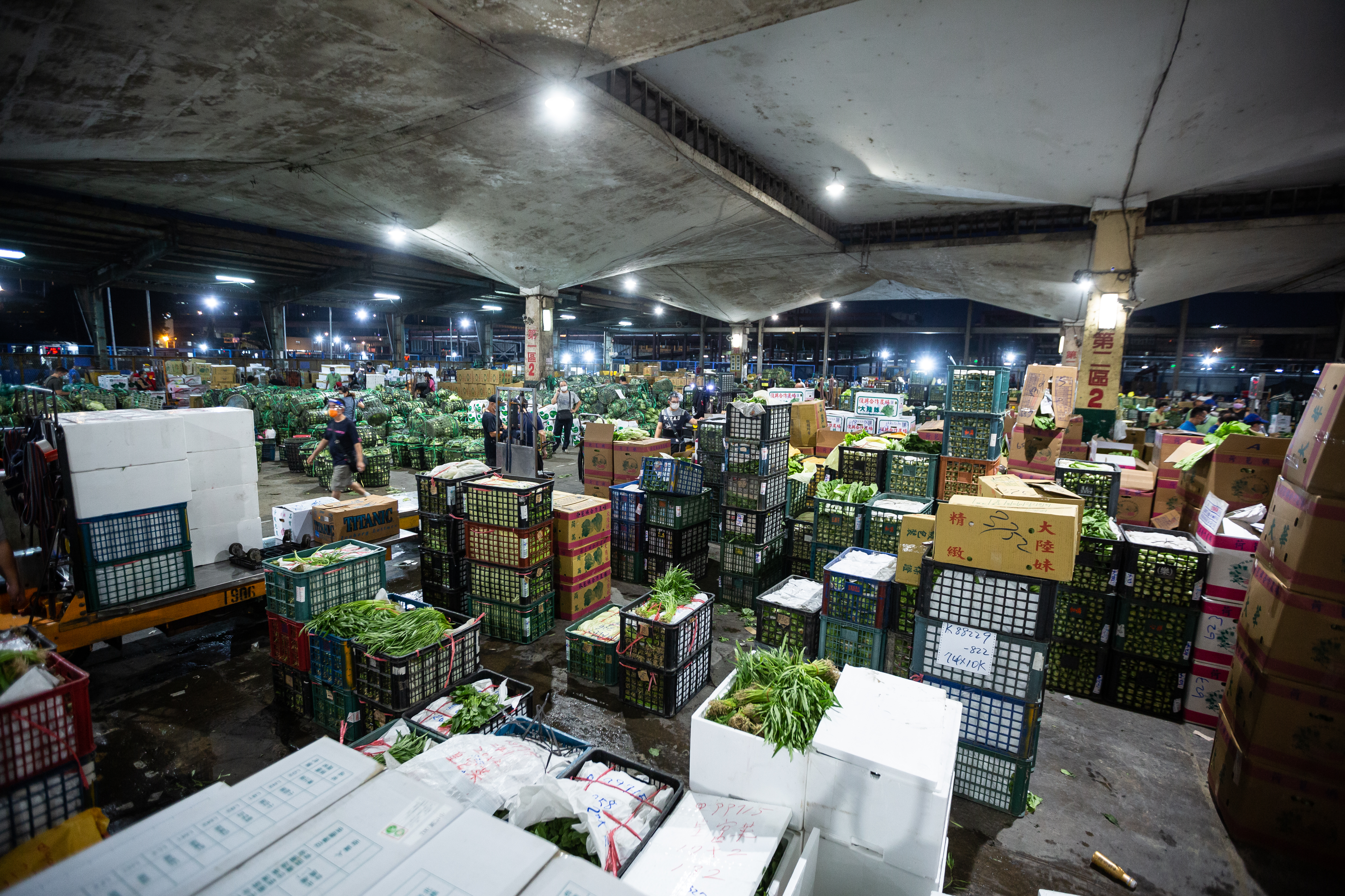 受颱風來襲預期心理影響,北農今日各菜種價格漲多跌少。(示意圖,資料照)