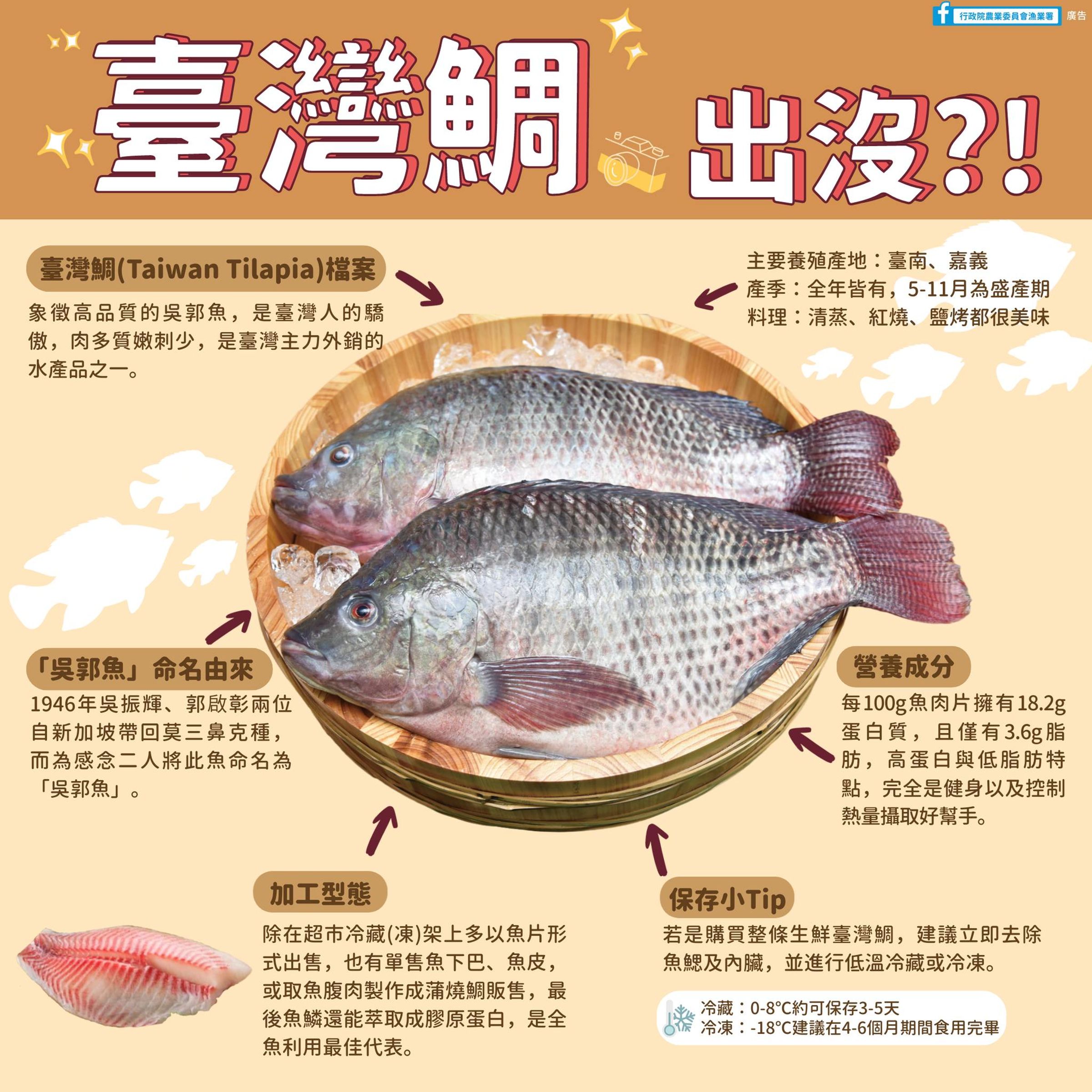 俗稱吳郭魚的台灣鯛「羅非魚」,被中國廣西居民反映大量繁殖,危及河流內生態多樣性。(翻攝自漁業署臉書)