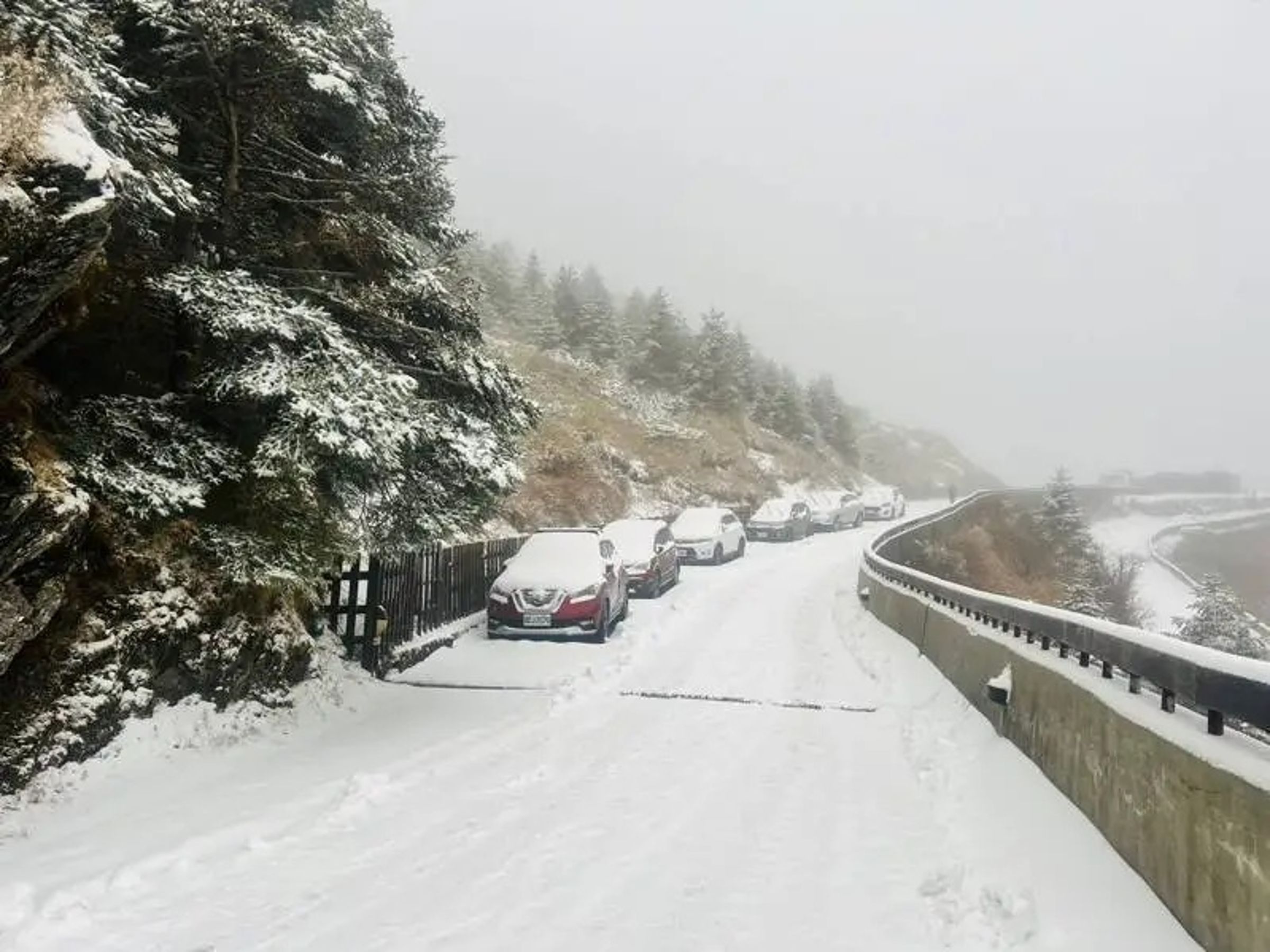 合歡山凌晨開始飄雪，積雪約10至15公分，宛如銀白世界。（林保署南投分署提供）