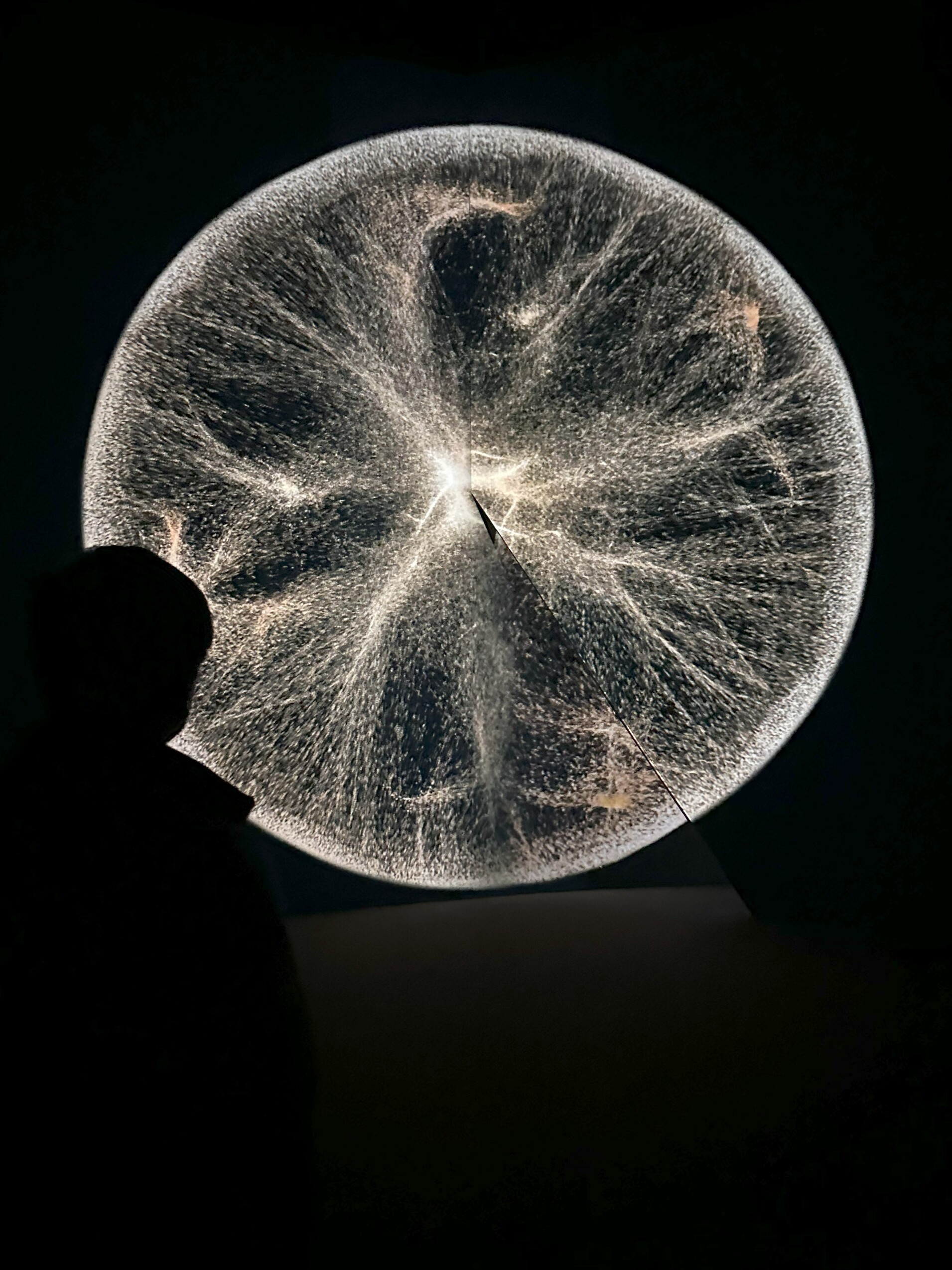 進入場域第一件作品是「CIRCLE（循環）」。