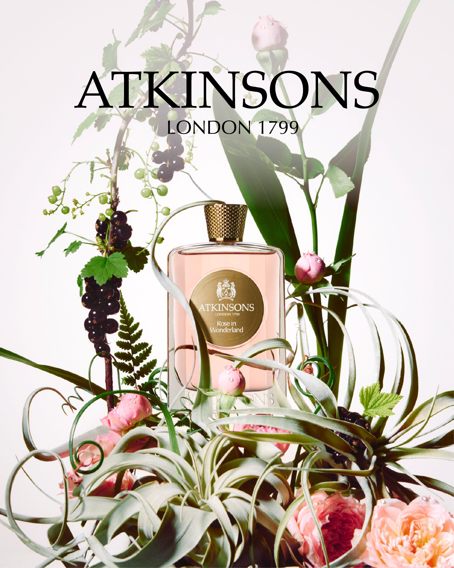 ATKINSONS阿特金森用獨家調配的玫瑰花香,就如被春日擁抱的氣息,充滿清新活力。