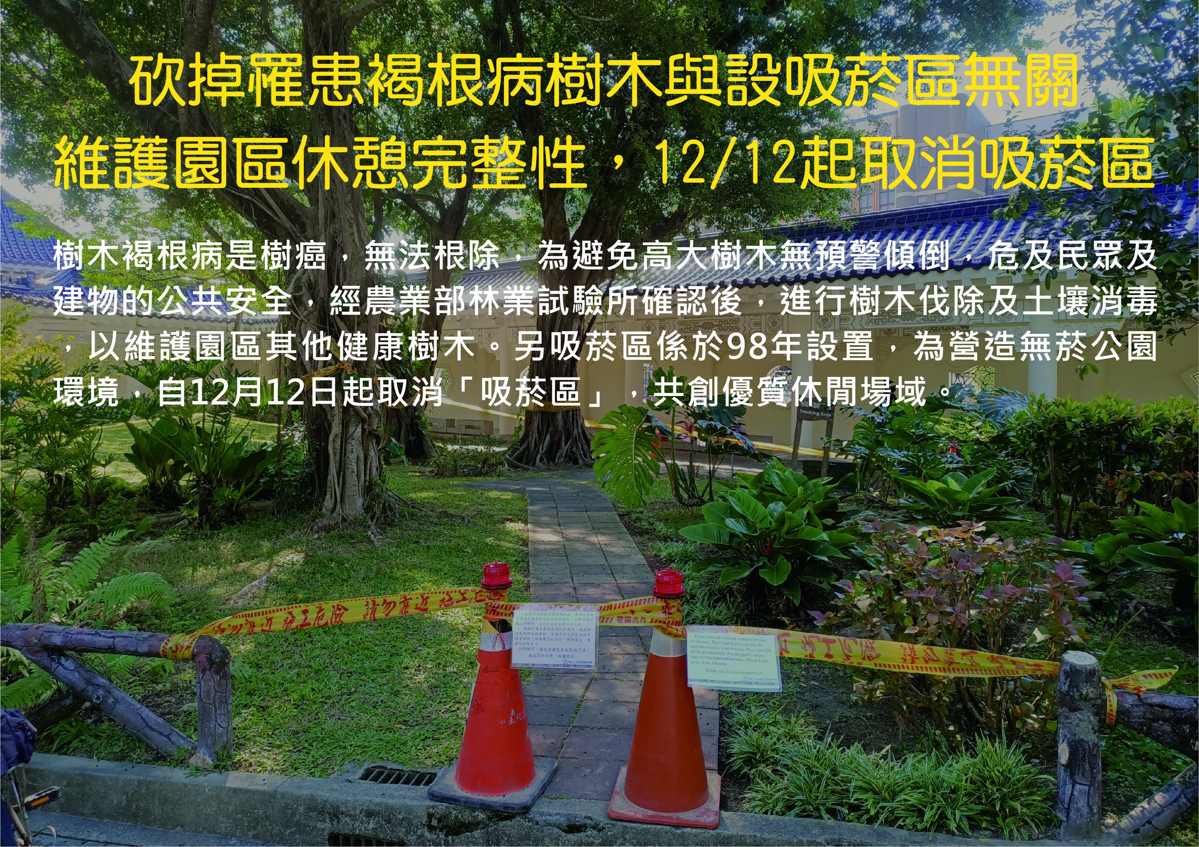 中正紀念堂管理處繼昨日發聲否認後,今日除了再次強調「砍掉罹患褐根病樹木與設吸菸區無關」。(國立中正紀念堂管理處提供)