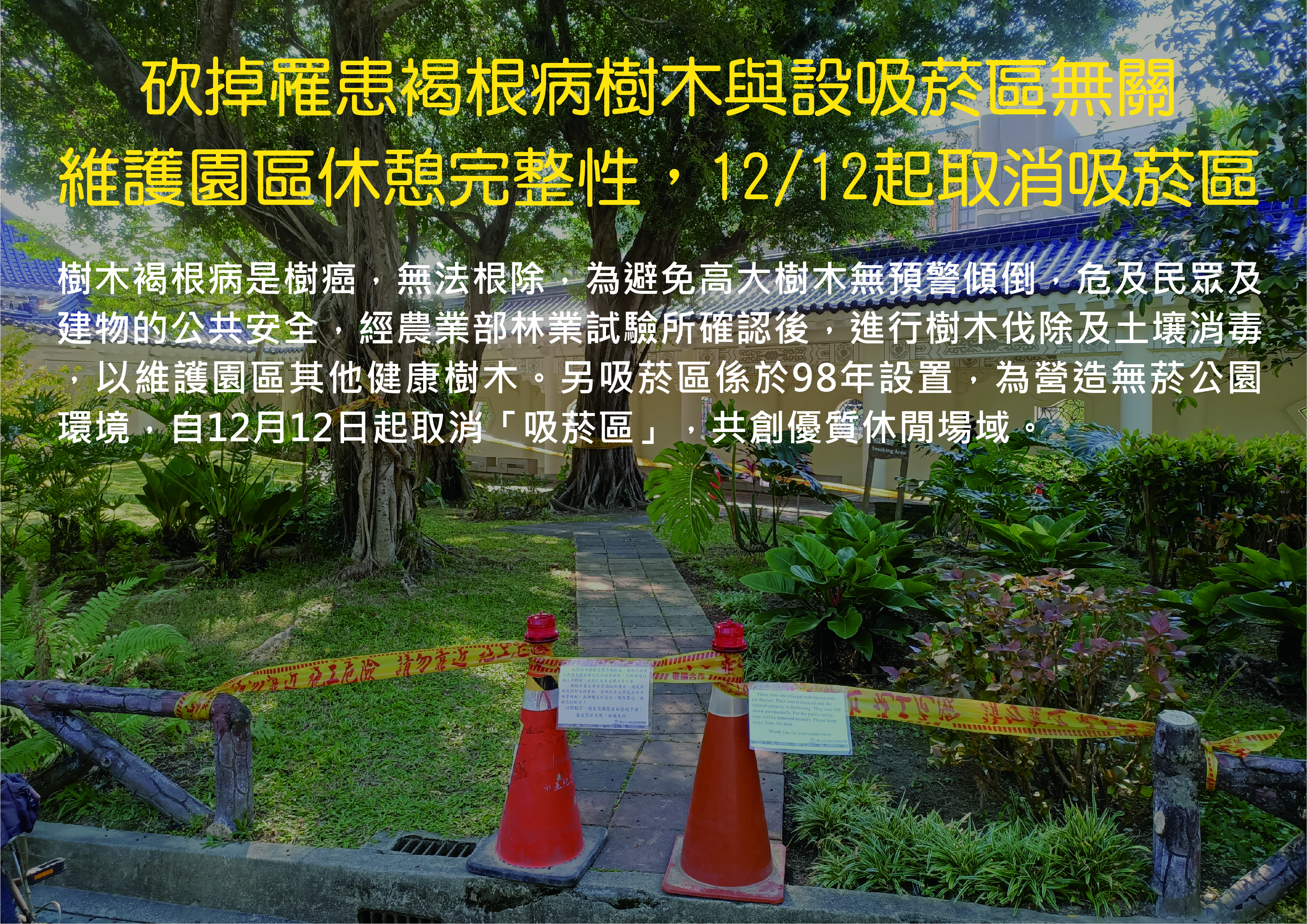 中正紀念堂管理處繼昨日發聲否認後，今日除了再次強調「砍掉罹患褐根病樹木與設吸菸區無關」。（國立中正紀念堂管理處提供）