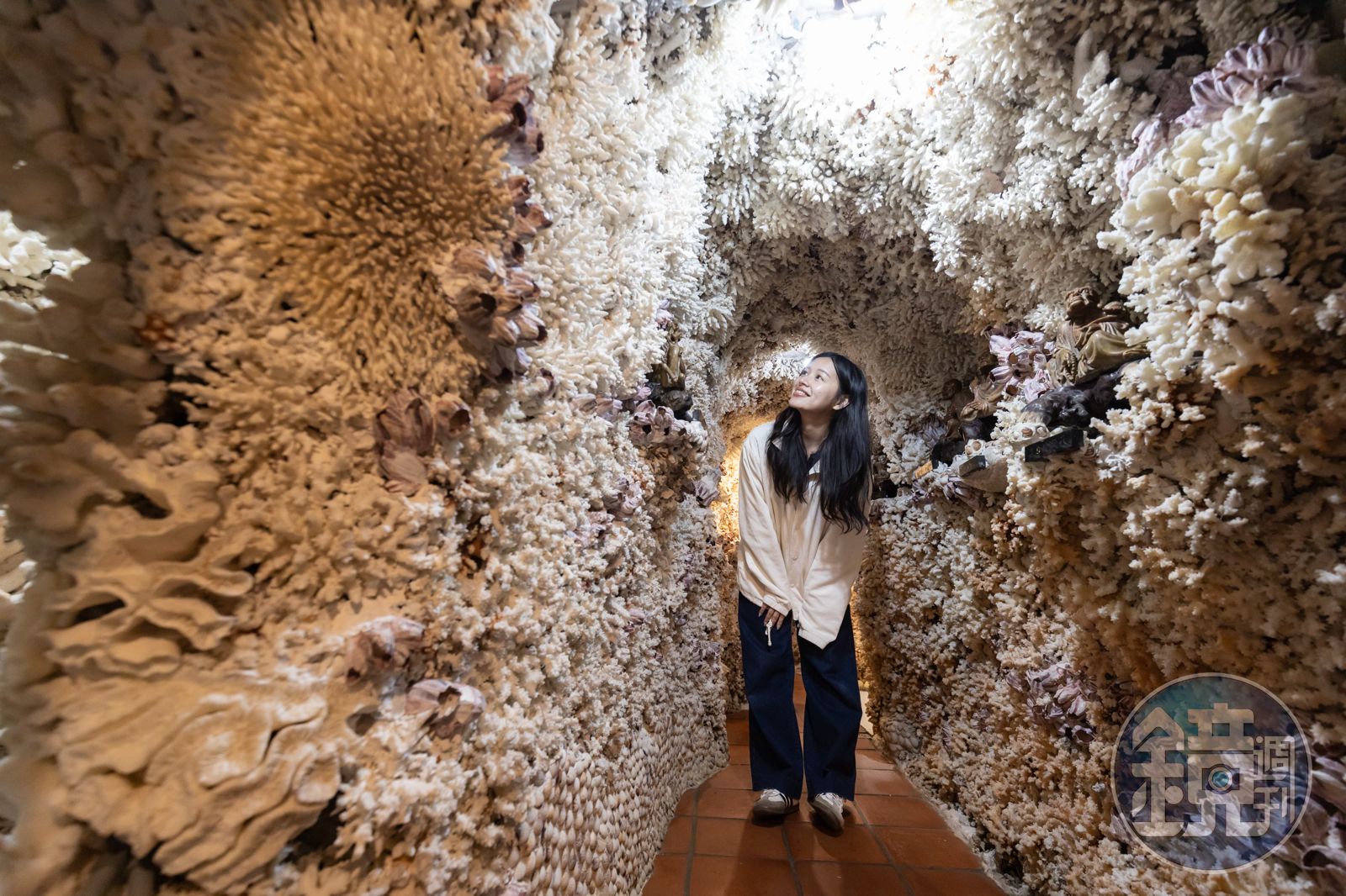 北海岸走春貝殼廟拜哪間?鑽海底珊瑚隧道祈福、擼貓迎好運