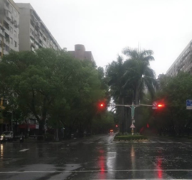 北市府po出今日照片澄清，仁愛路沒有樹木傾倒蓋滿地面狀況。（公園處提供）