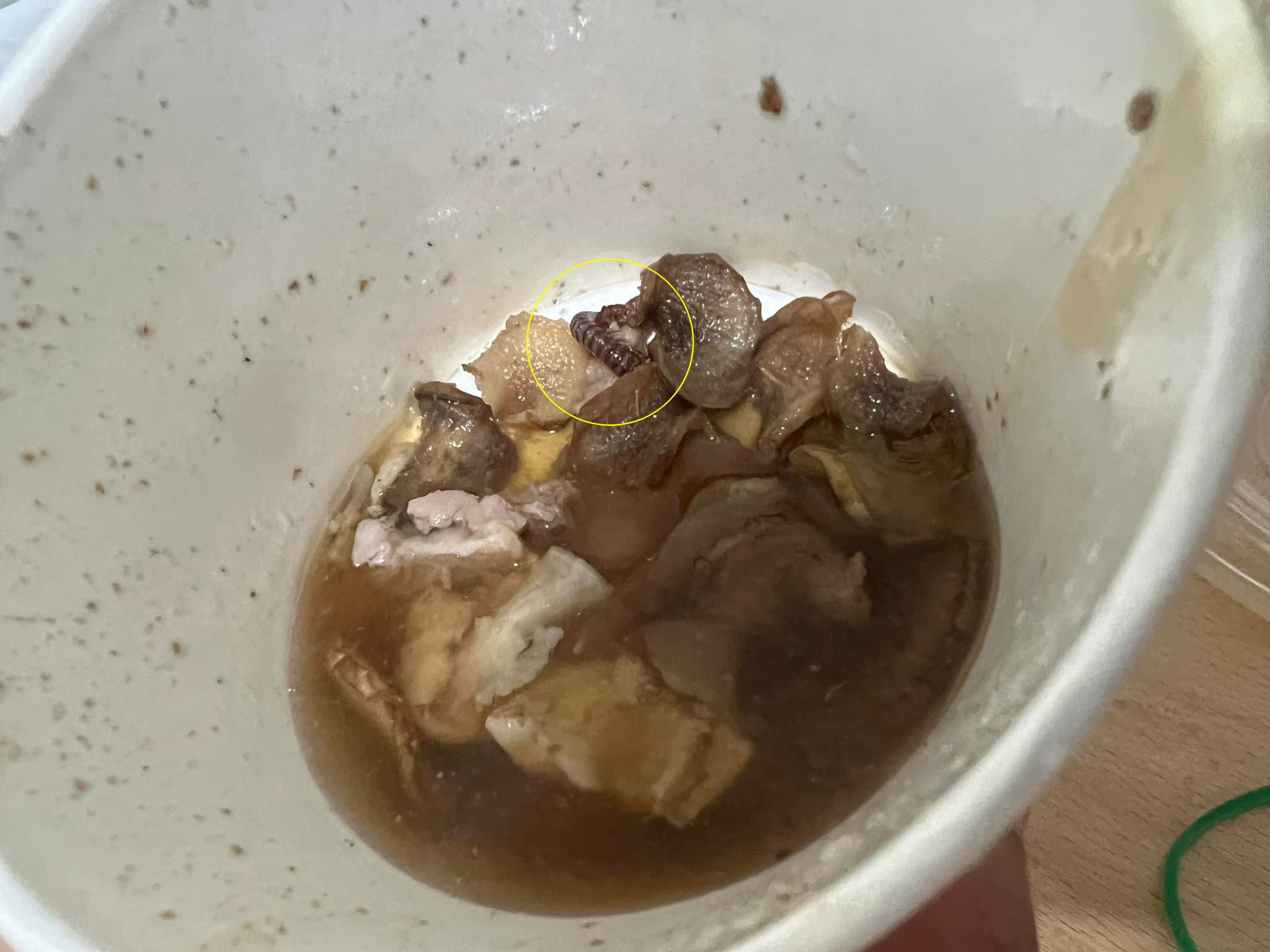 民眾喝麻油雞，喝到見底發現有「馬陸」。（翻攝臉書社團「爆怨公社」）