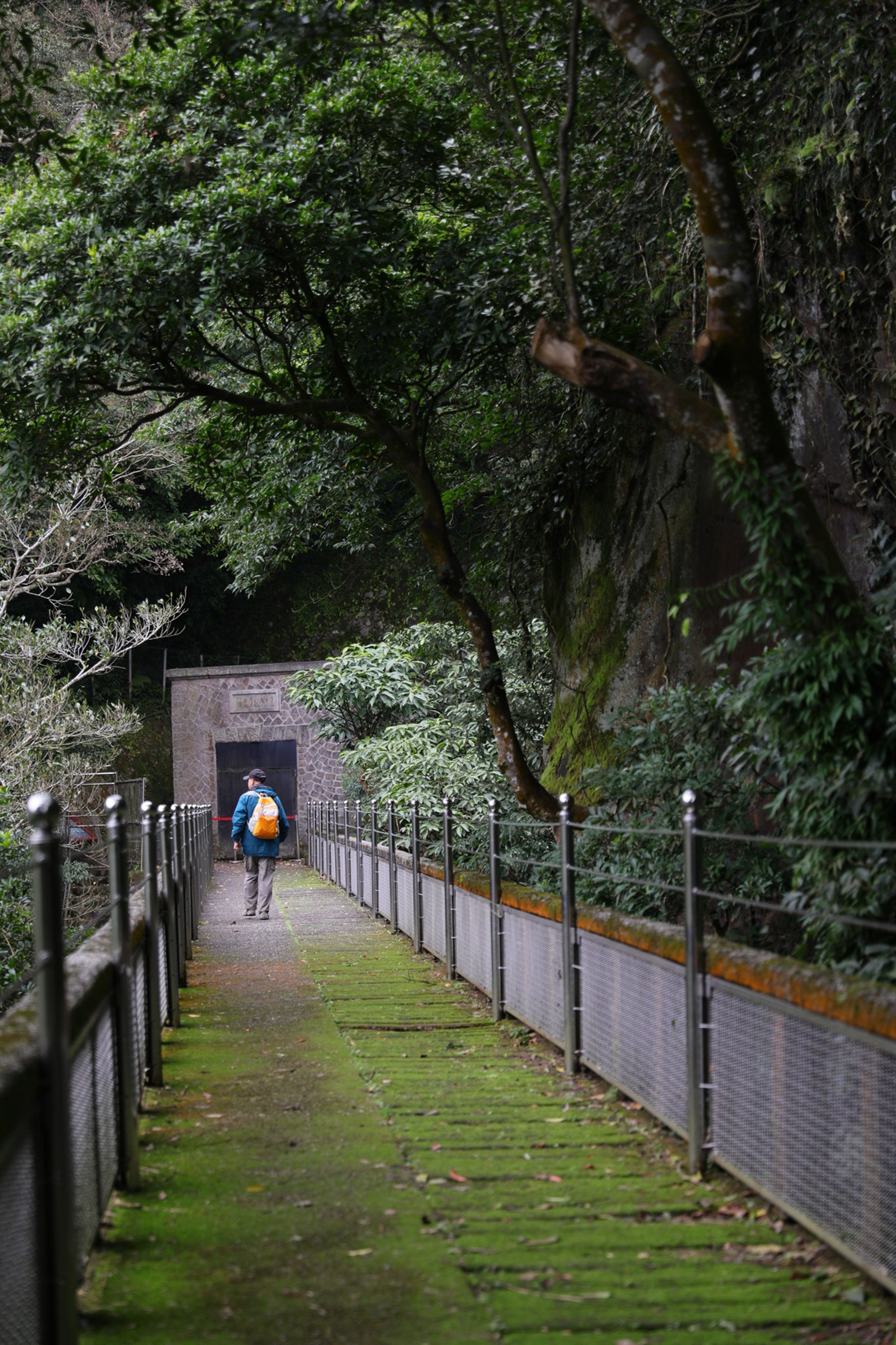 草山水道系統步道沿途同樣好走，無須費太多力氣。