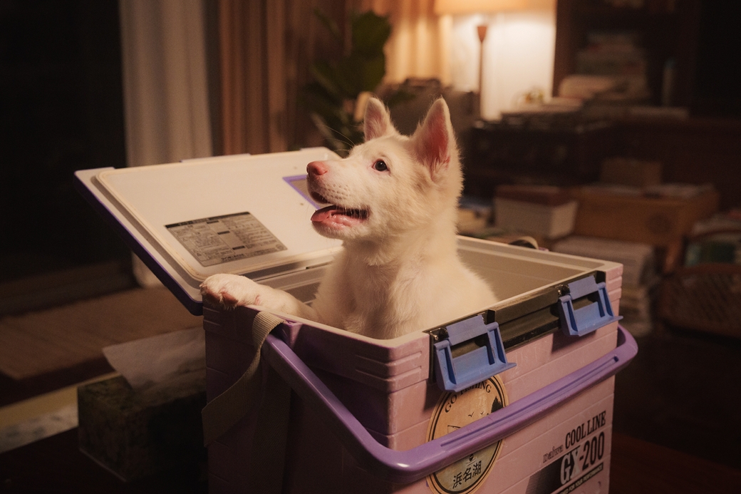 泰國電影《伴我一生，感謝你》引發全民觀影熱潮，上映首週票房開紅盤。（龍祥電影提供）