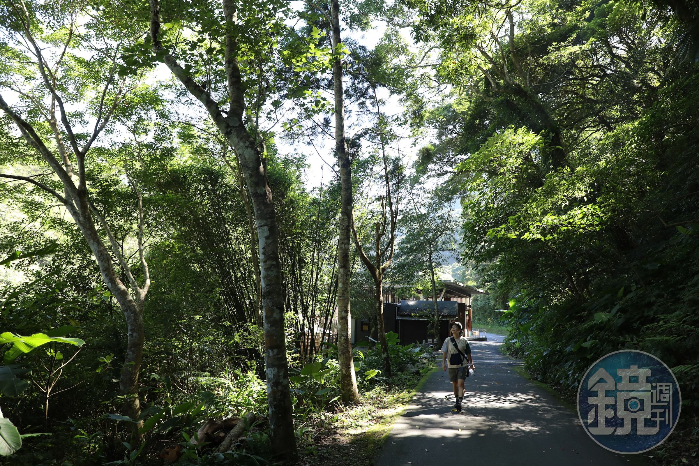 內洞森林遊樂區有條長約一公里的觀瀑步道，全程是平緩柏油路面。