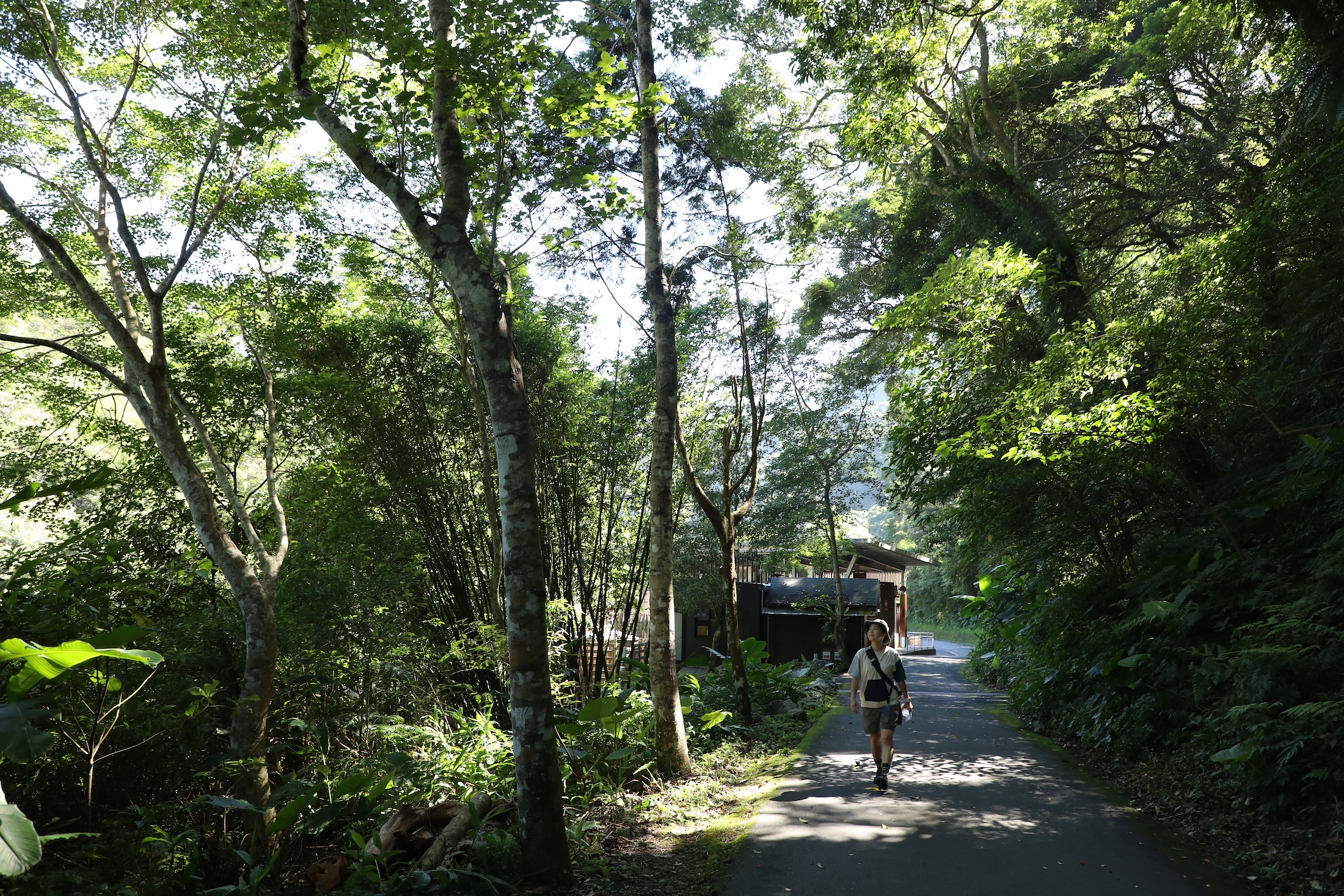 內洞森林遊樂區有條長約一公里的觀瀑步道,全程是平緩柏油路面。